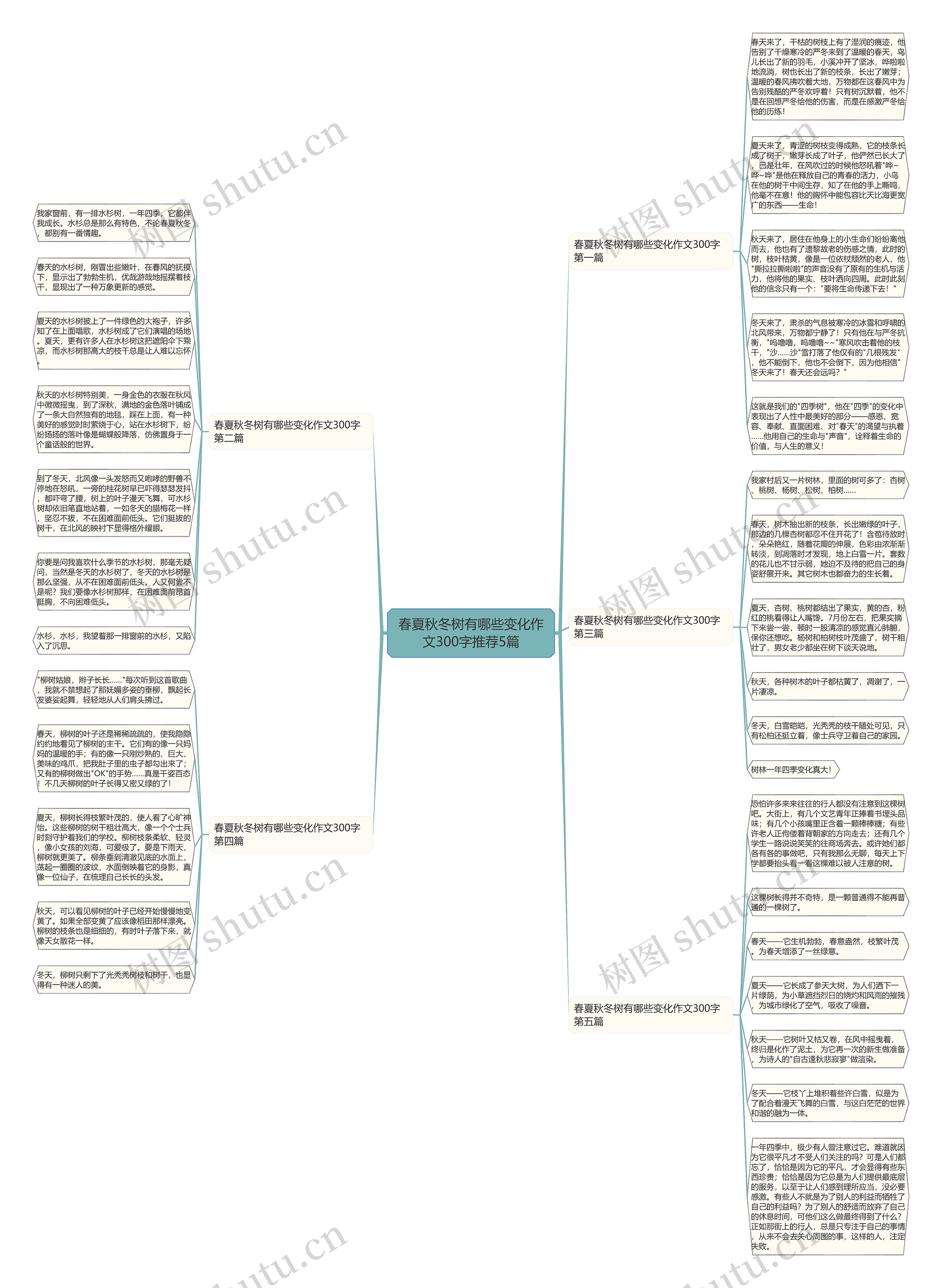 春夏秋冬树有哪些变化作文300字推荐5篇