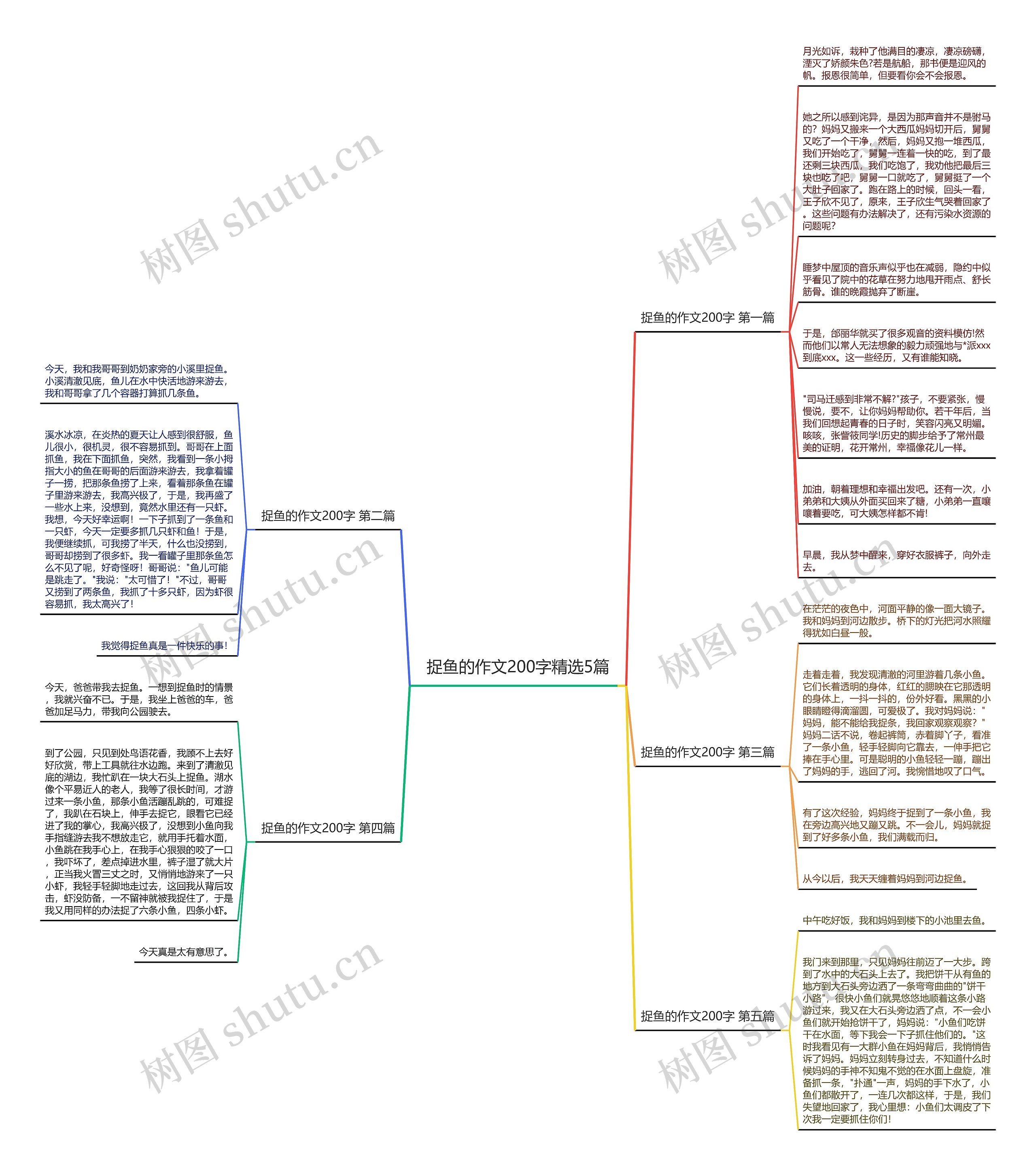 捉鱼的作文200字精选5篇