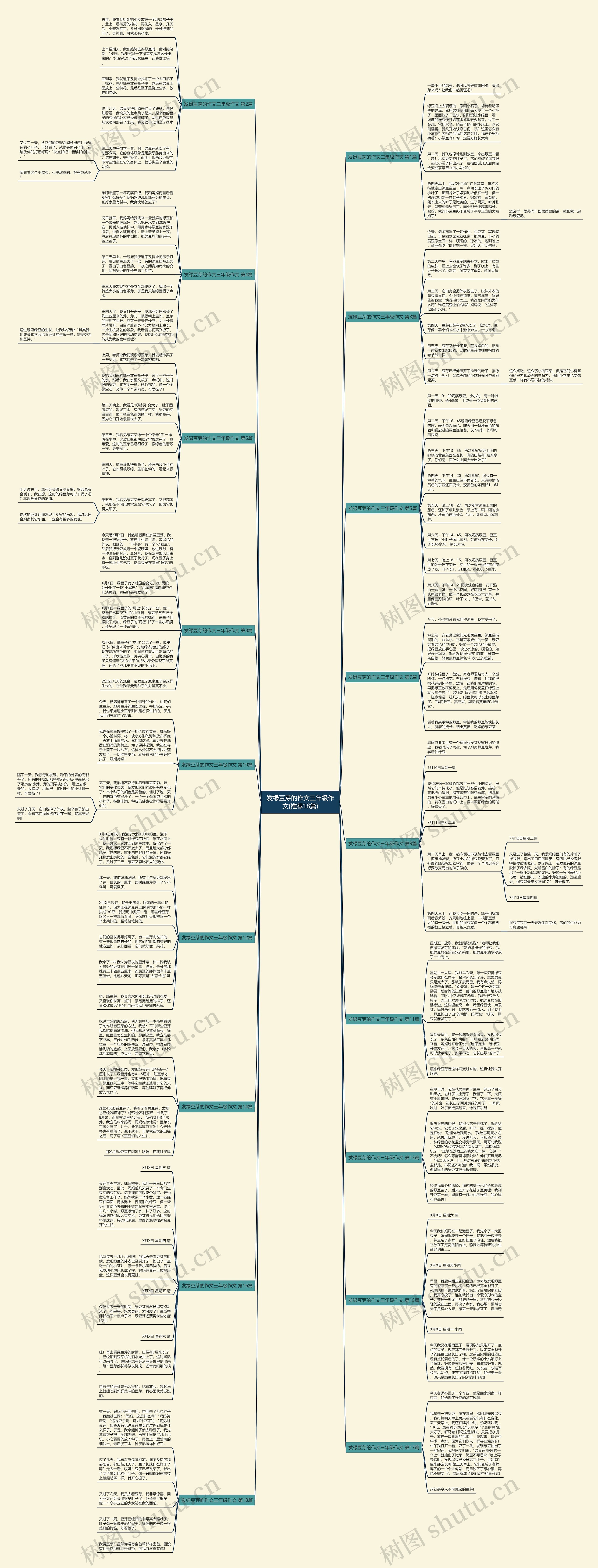 发绿豆芽的作文三年级作文(推荐18篇)思维导图