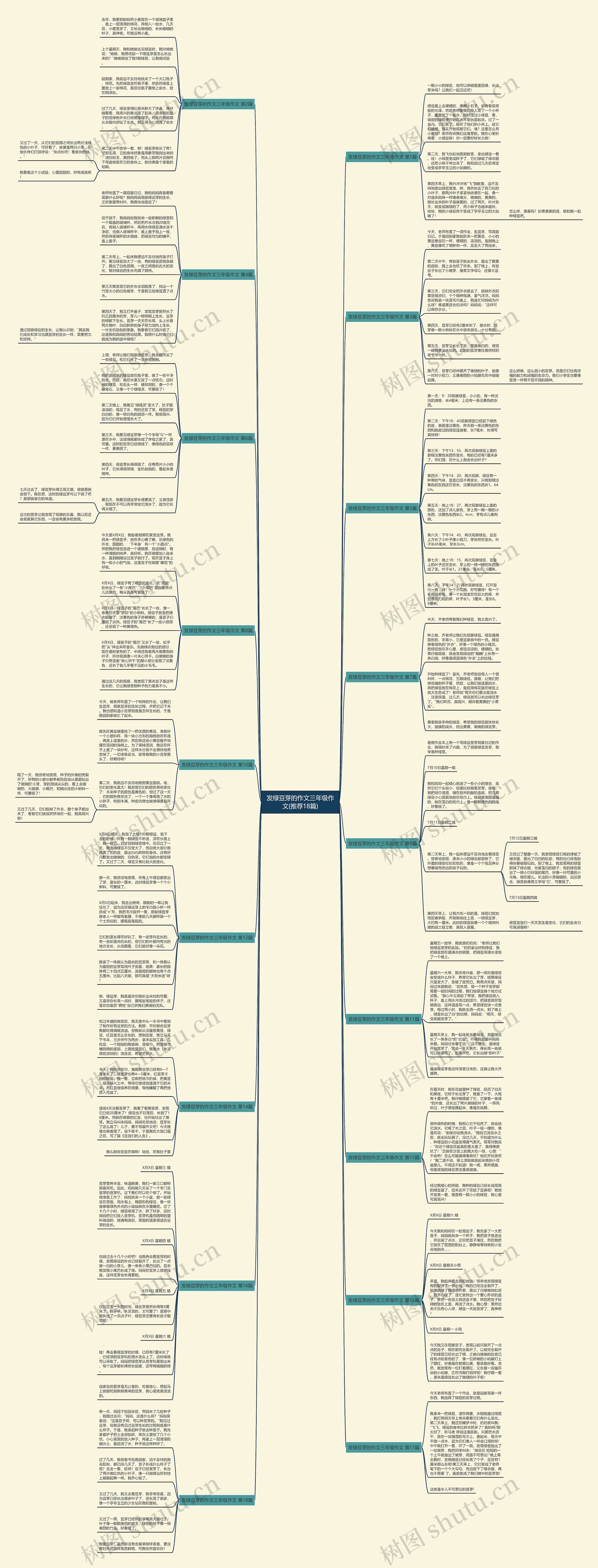 发绿豆芽的作文三年级作文(推荐18篇) 发绿豆芽的作文三年级作文(推荐18篇)
