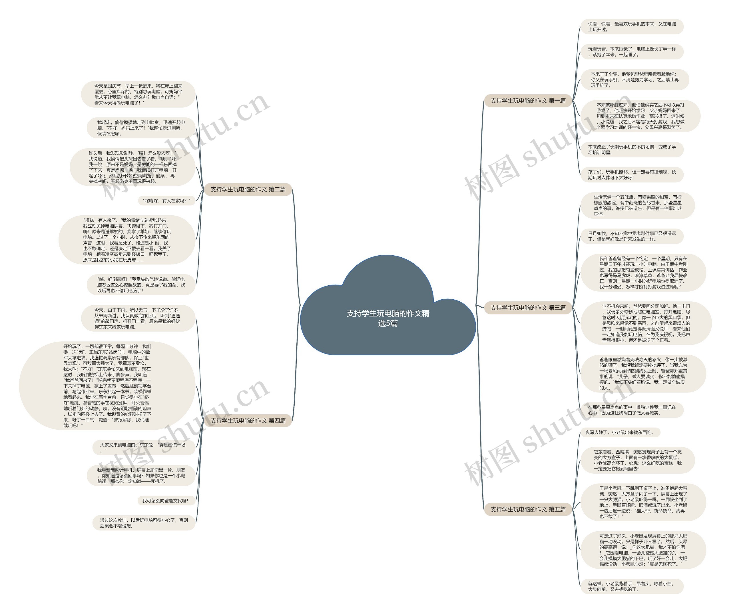 支持学生玩电脑的作文精选5篇思维导图