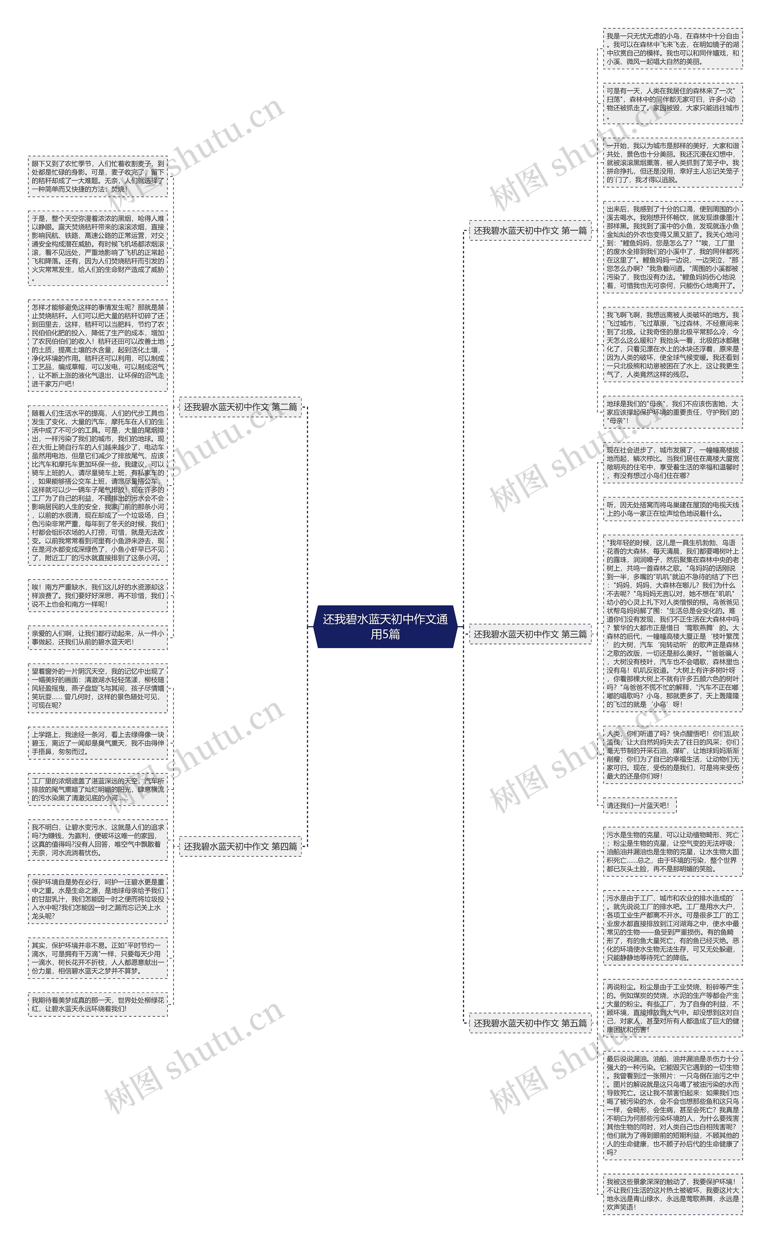 还我碧水蓝天初中作文通用5篇思维导图高清图 还我碧水蓝天初中作文通用5篇思维导图