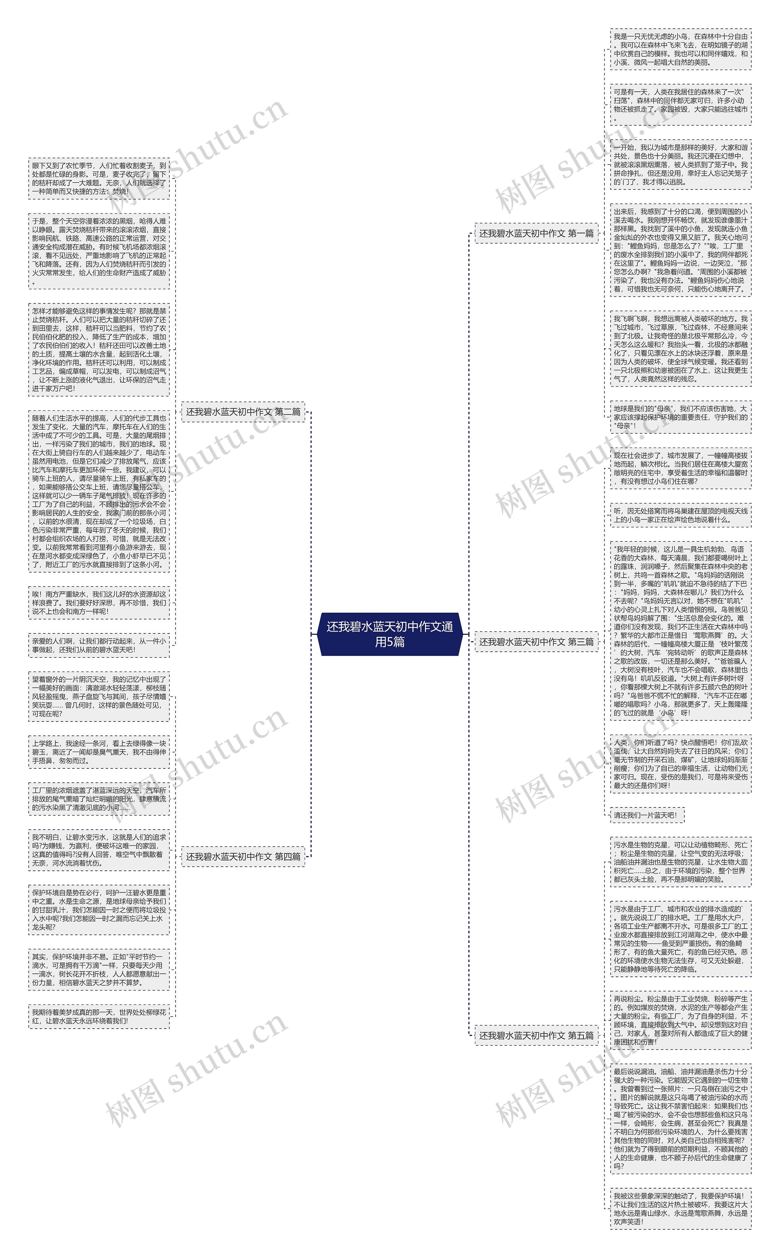 还我碧水蓝天初中作文通用5篇思维导图