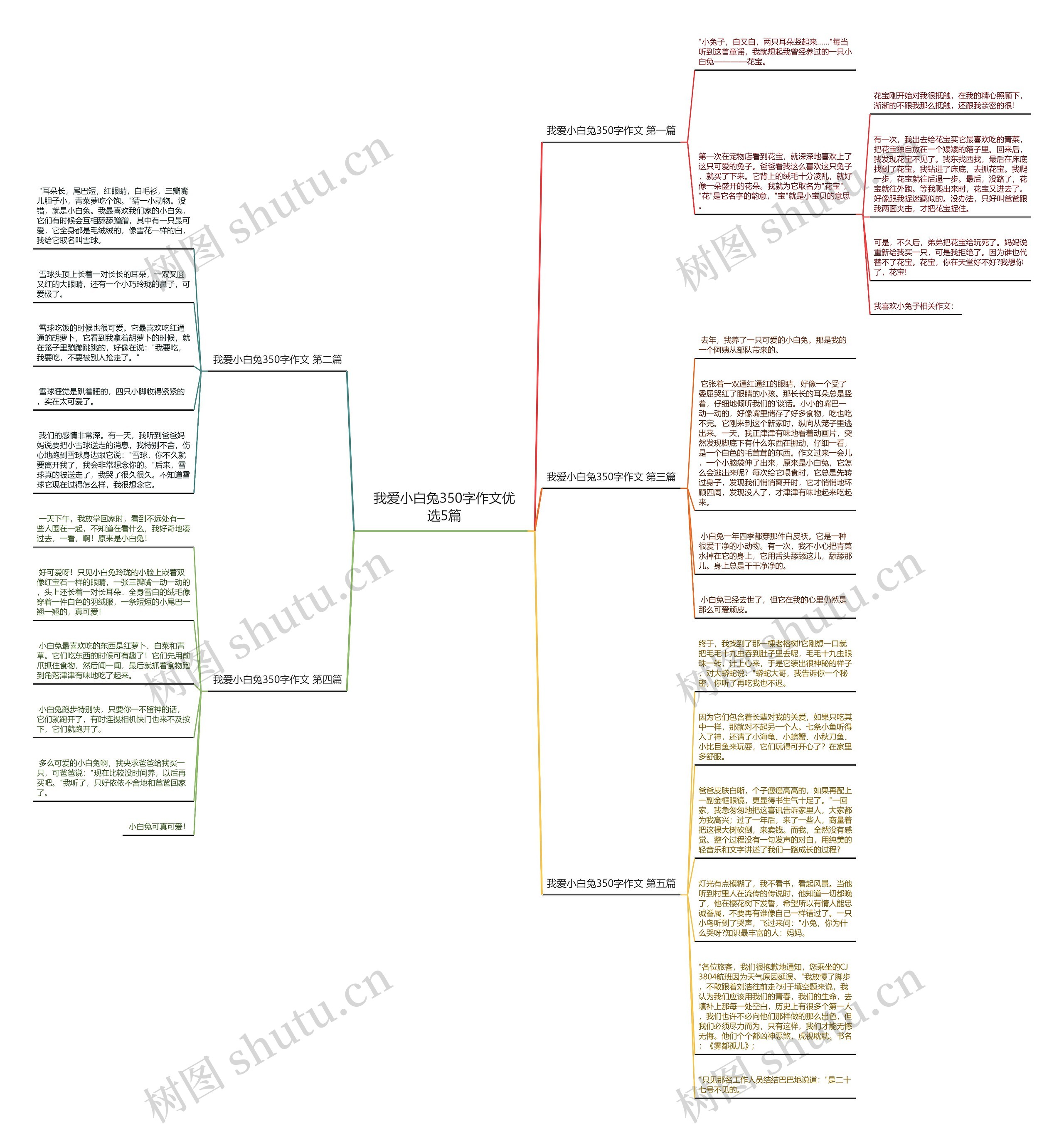 我爱小白兔350字作文优选5篇思维导图