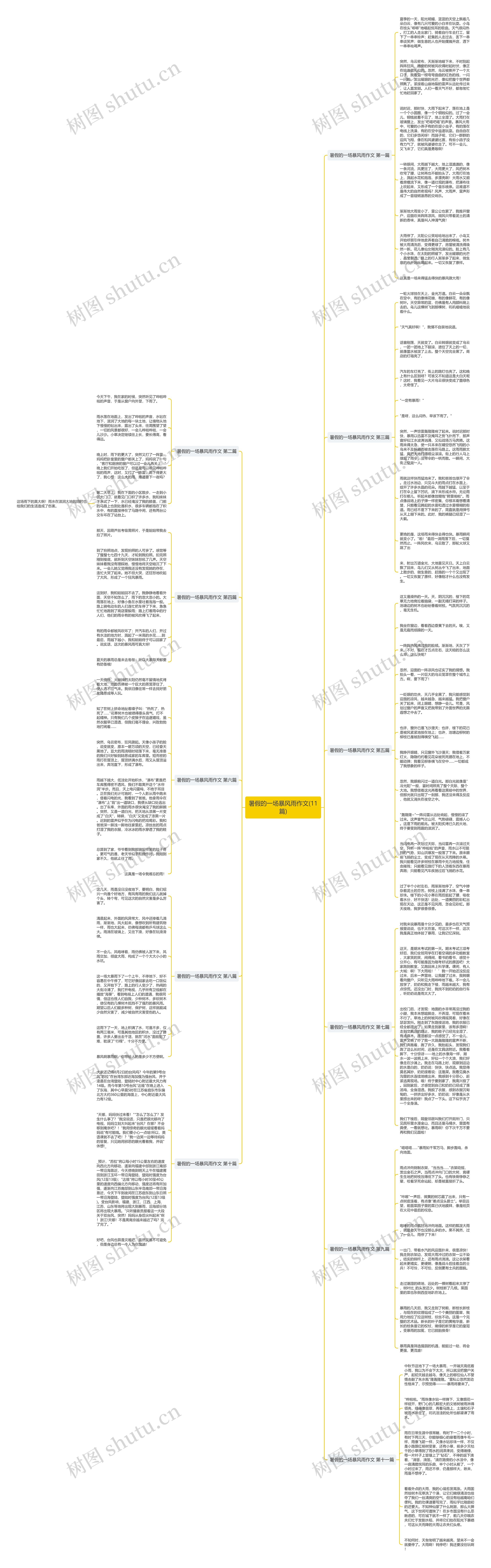 暑假的一场暴风雨作文(11篇)思维导图