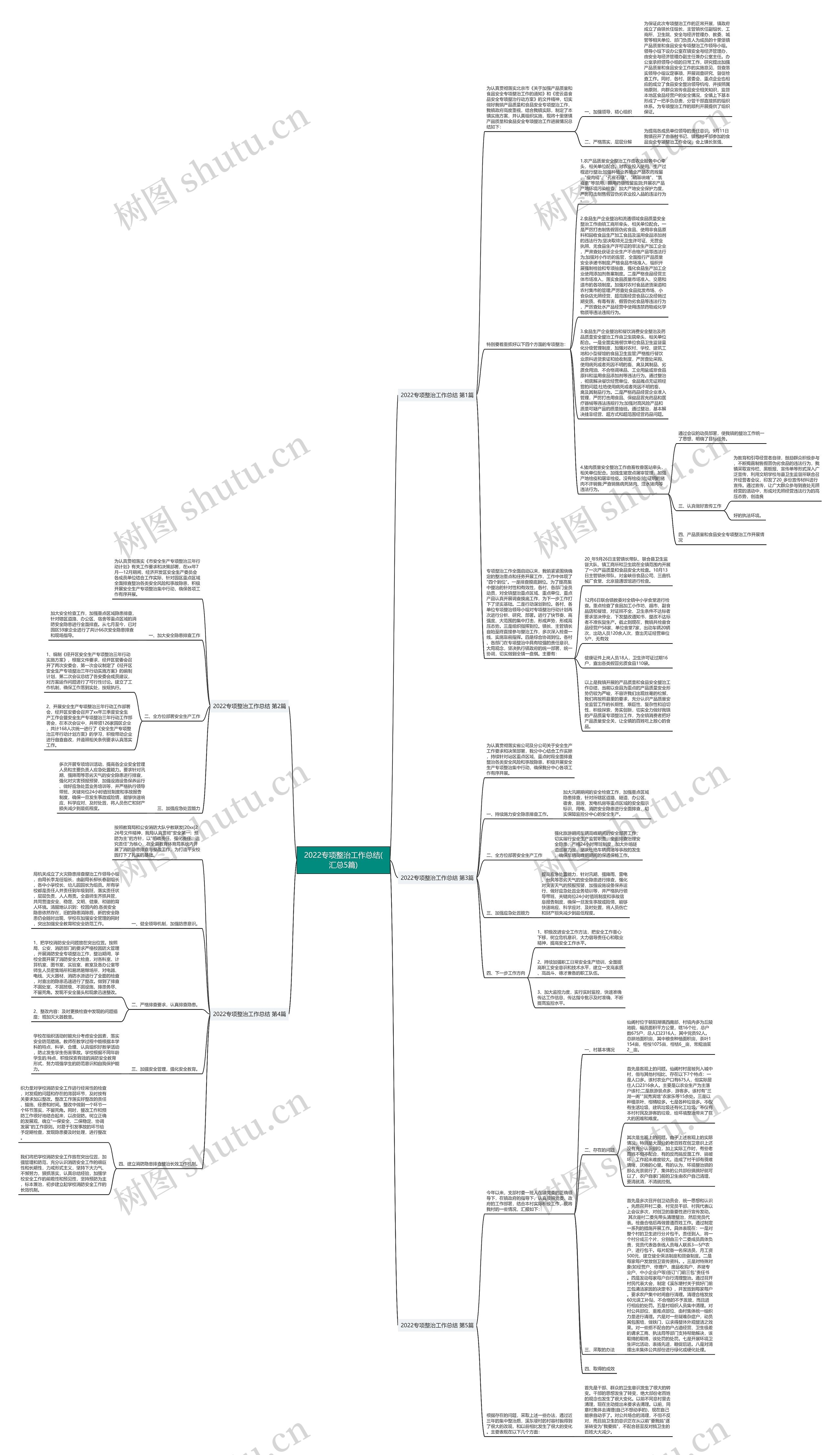 2022专项整治工作总结(汇总5篇)思维导图