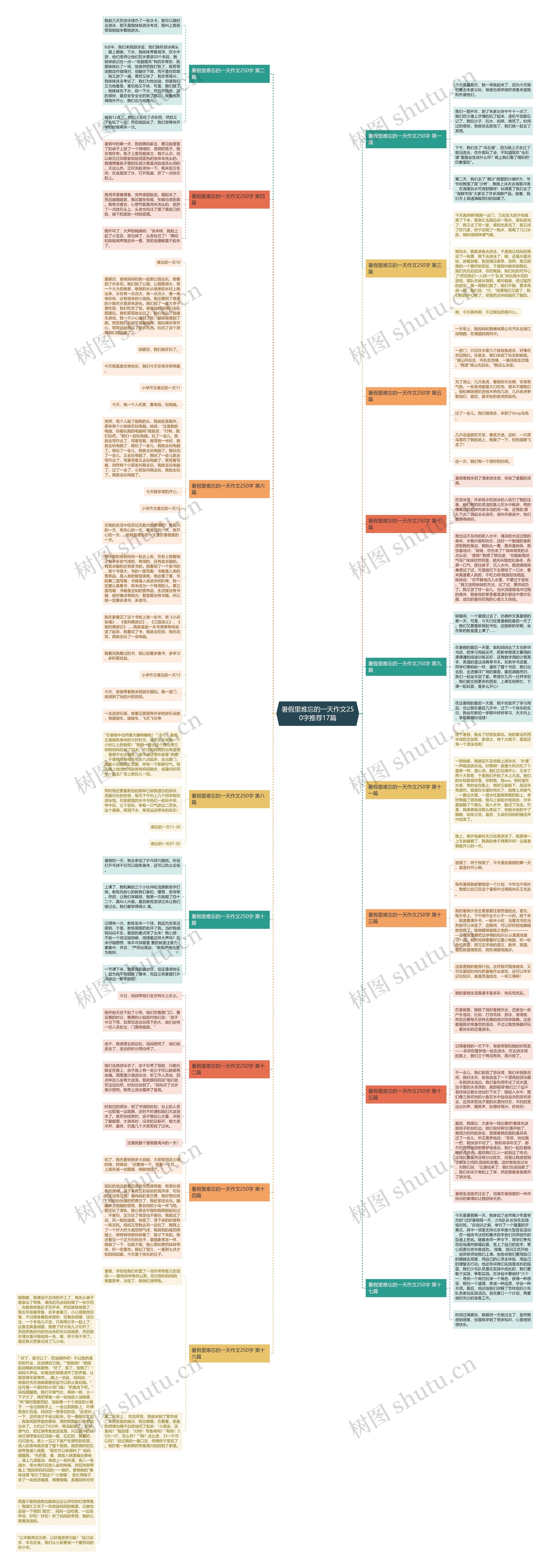 暑假里难忘的一天作文250字推荐17篇思维导图