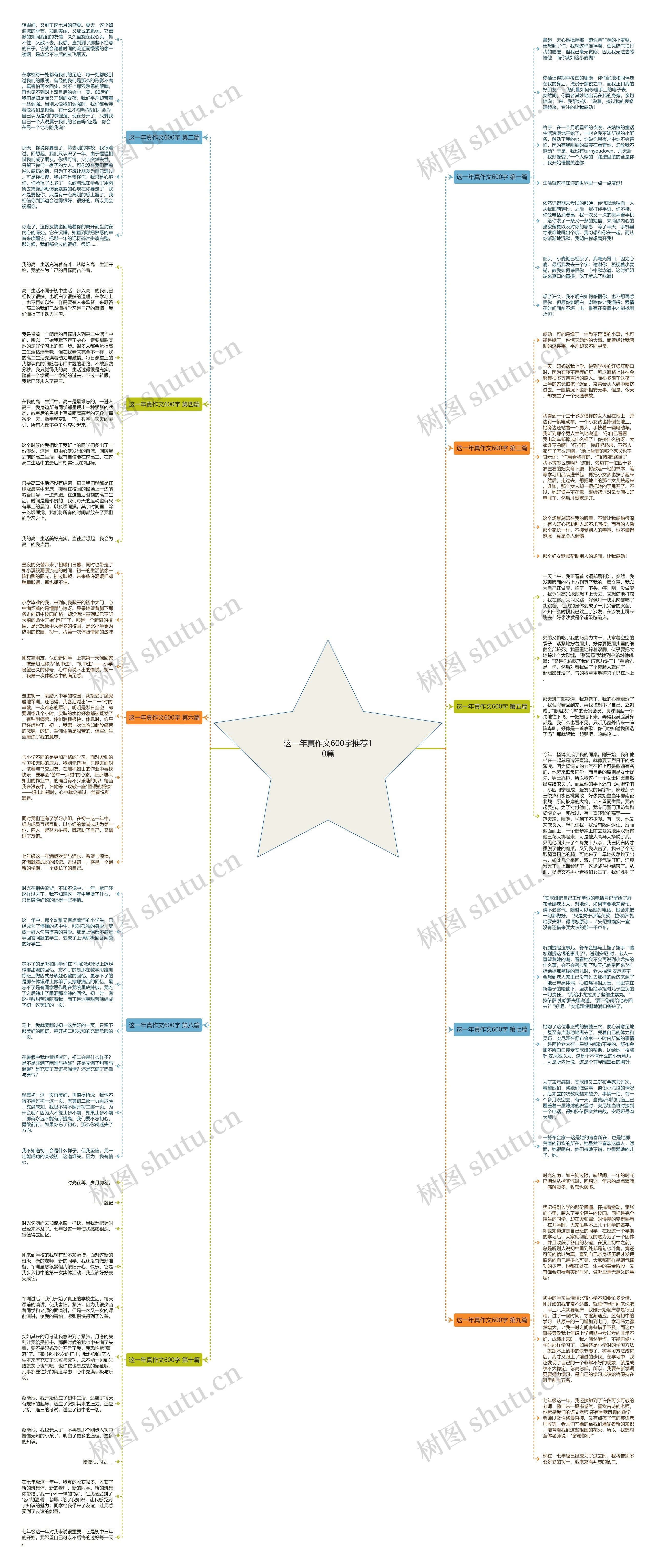 这一年真作文600字推荐10篇思维导图
