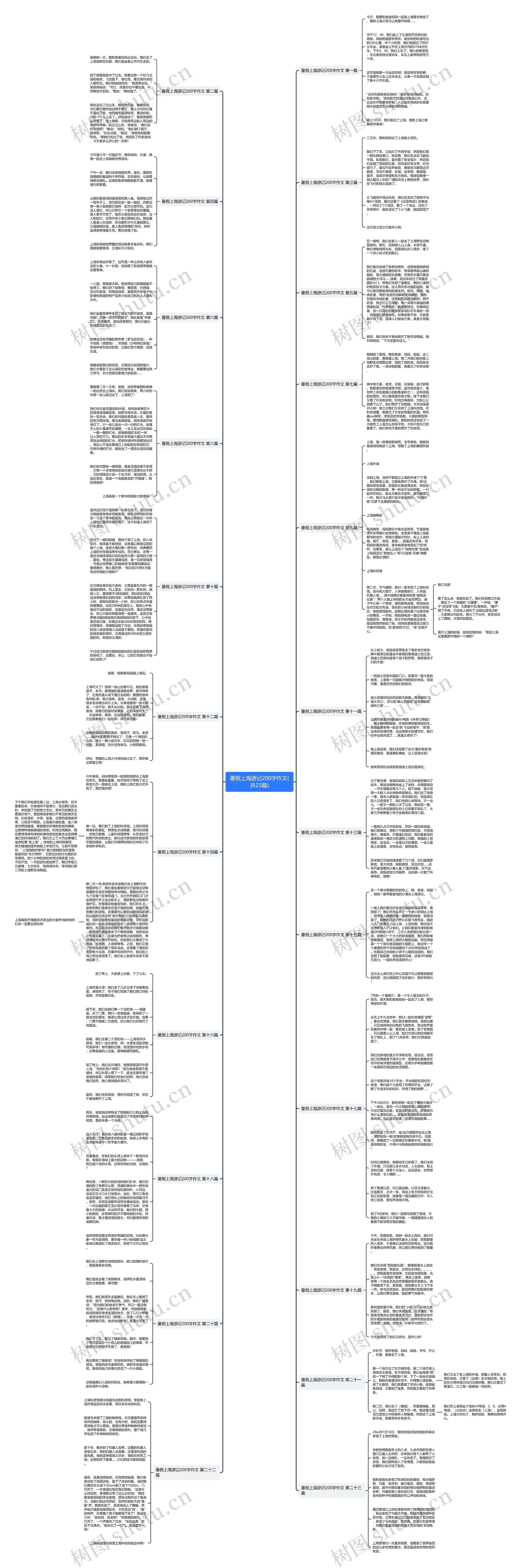 暑假上海游记200字作文(共23篇)思维导图