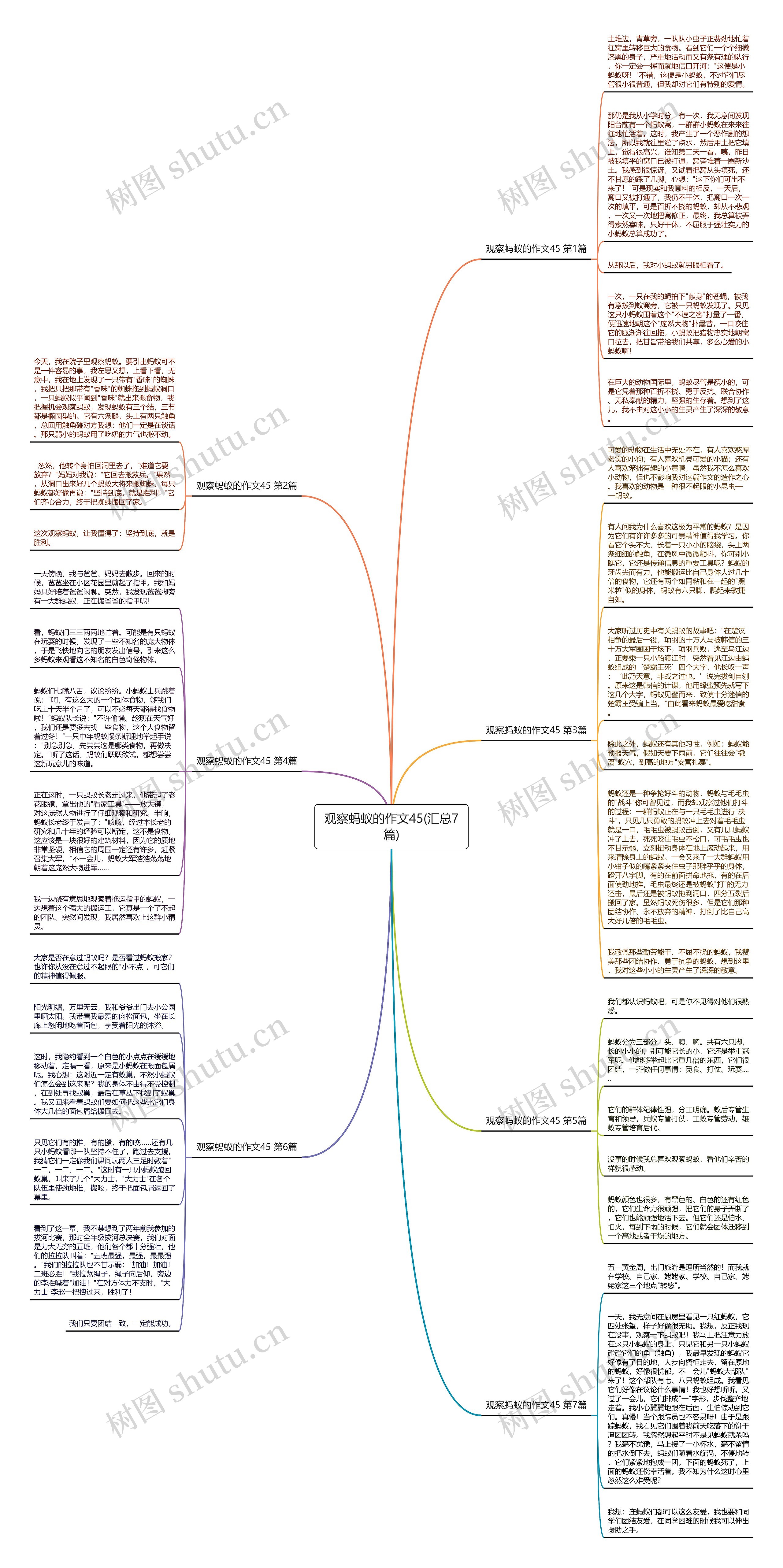 观察蚂蚁的作文45(汇总7篇)思维导图