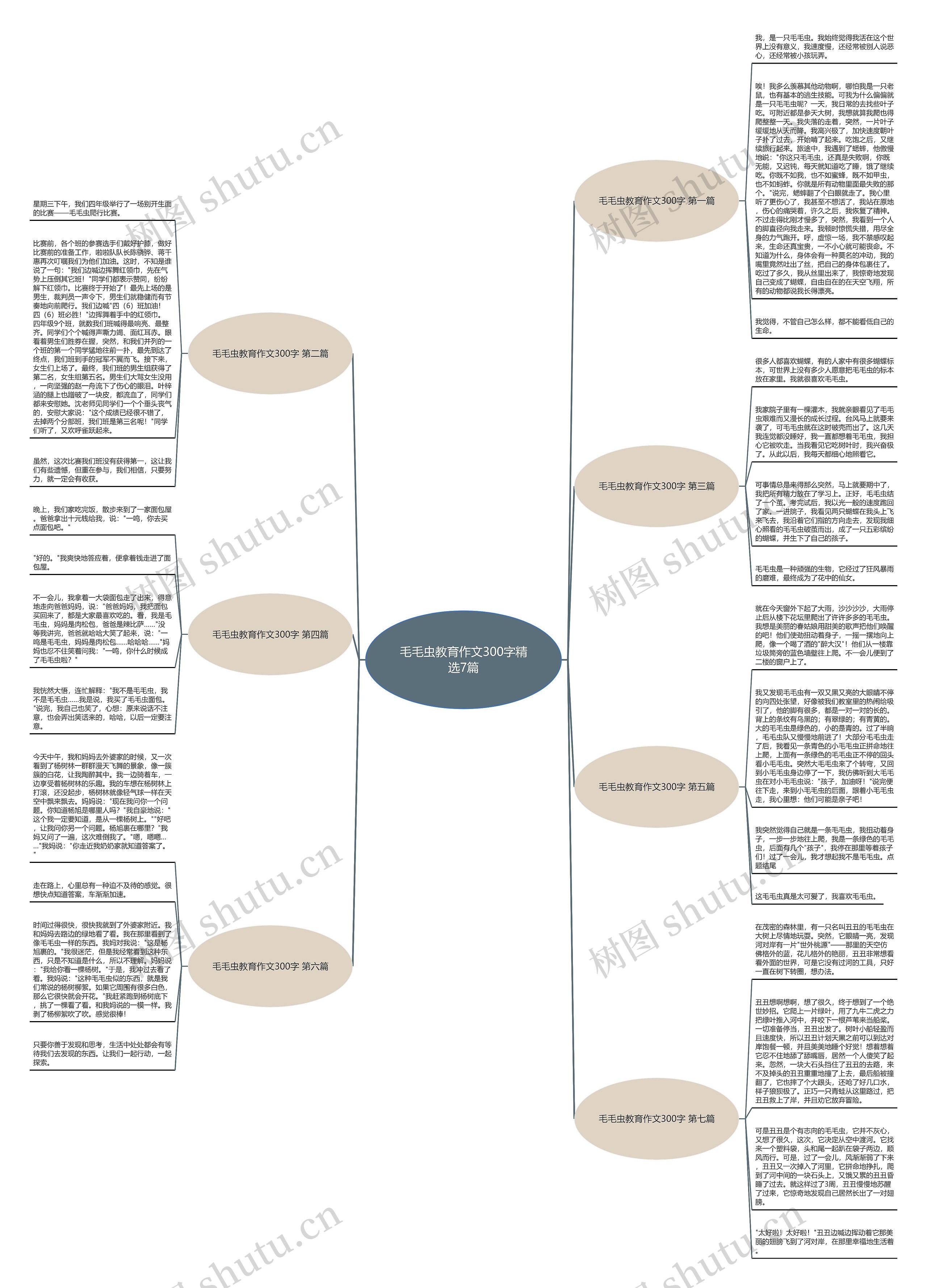 毛毛虫教育作文300字精选7篇 毛毛虫教育作文300字精选7篇
