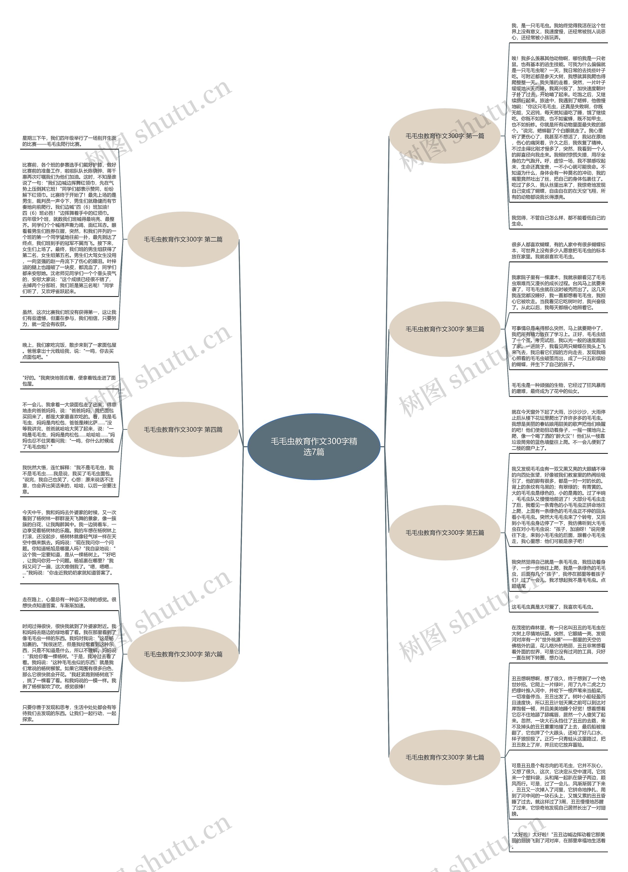 毛毛虫教育作文300字精选7篇思维导图