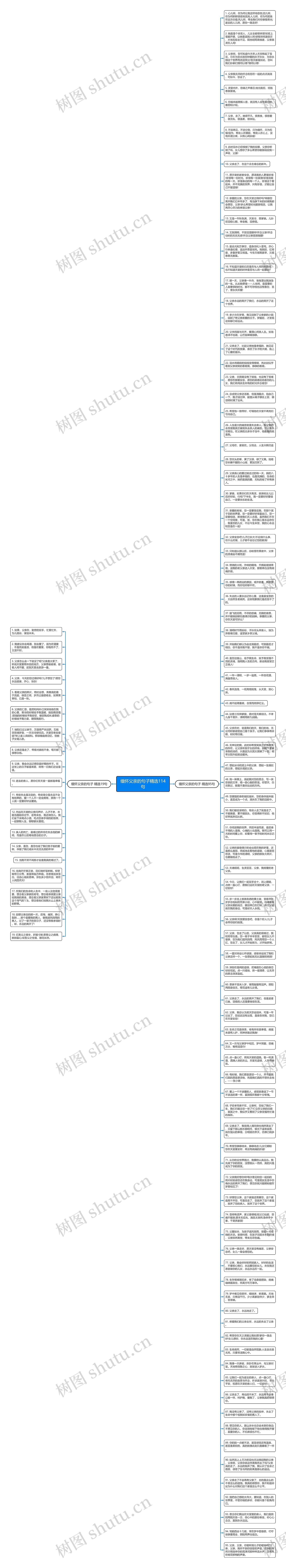 缅怀父亲的句子精选114句思维导图