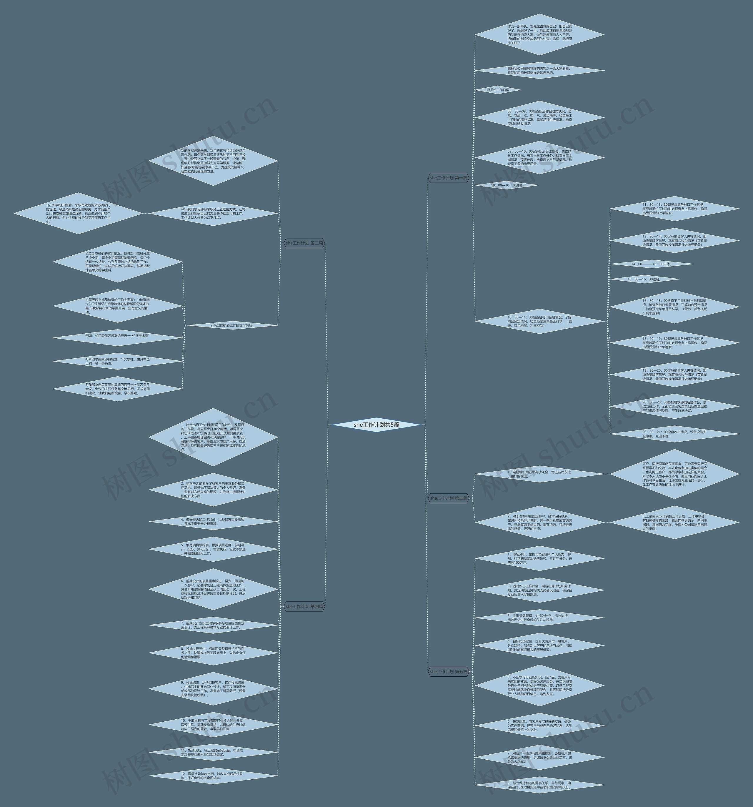 she工作计划共5篇思维导图