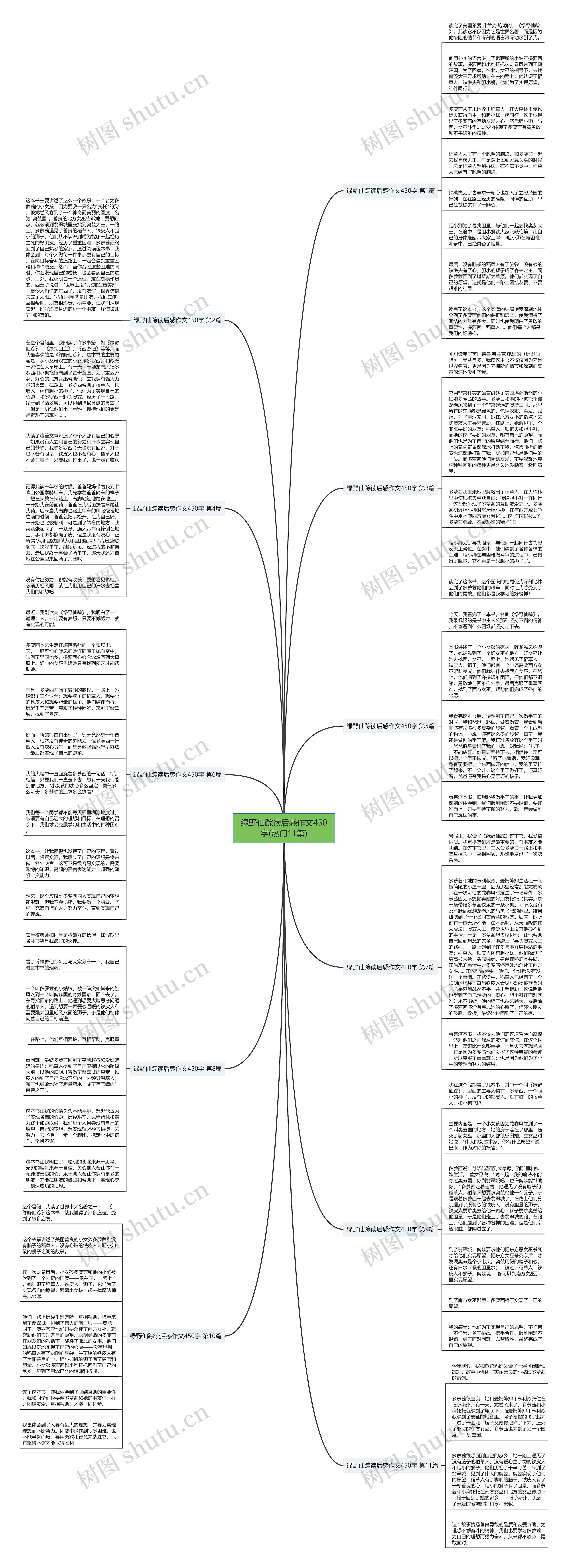 绿野仙踪读后感作文450字(热门11篇)思维导图