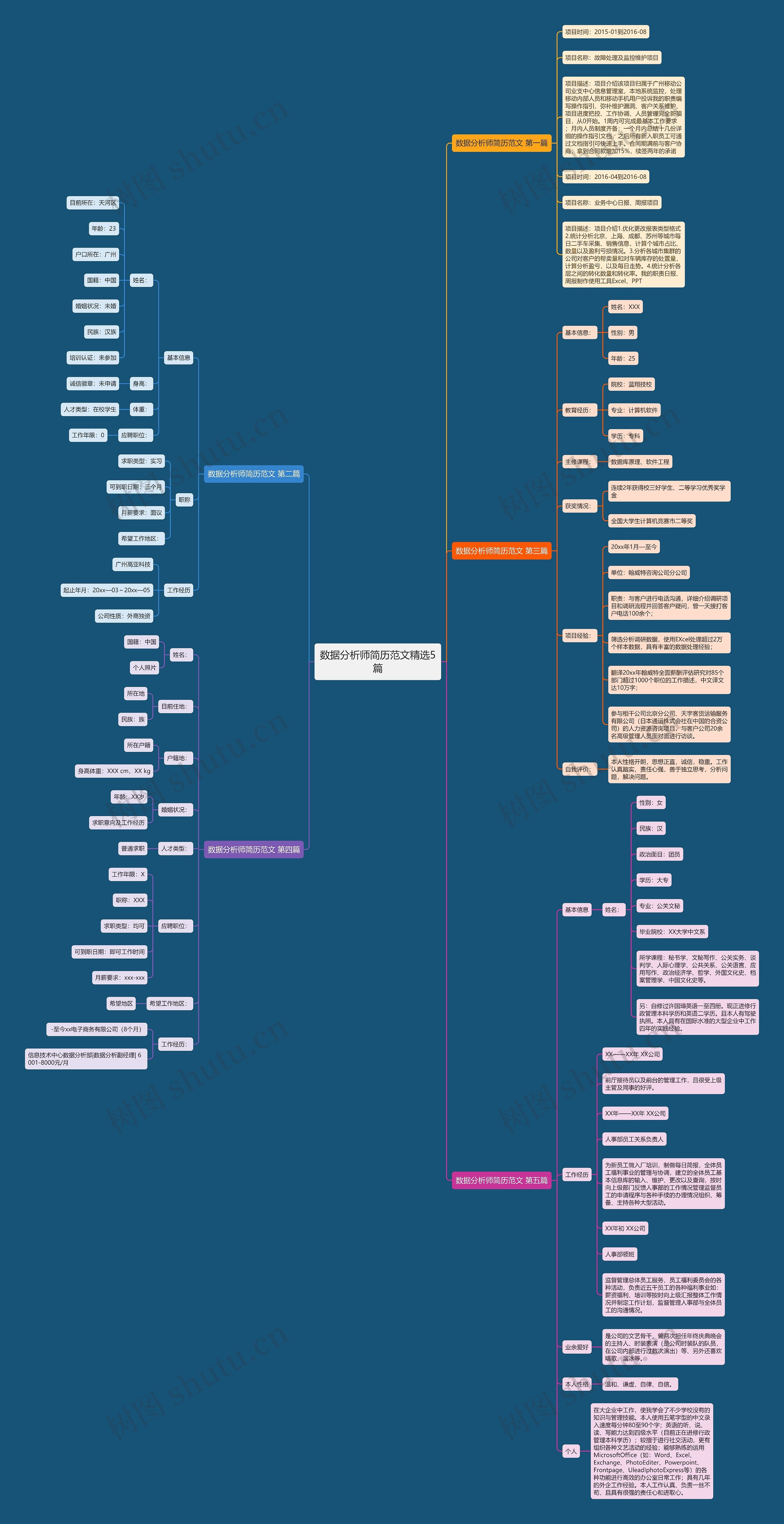 数据分析师简历范文精选5篇思维导图