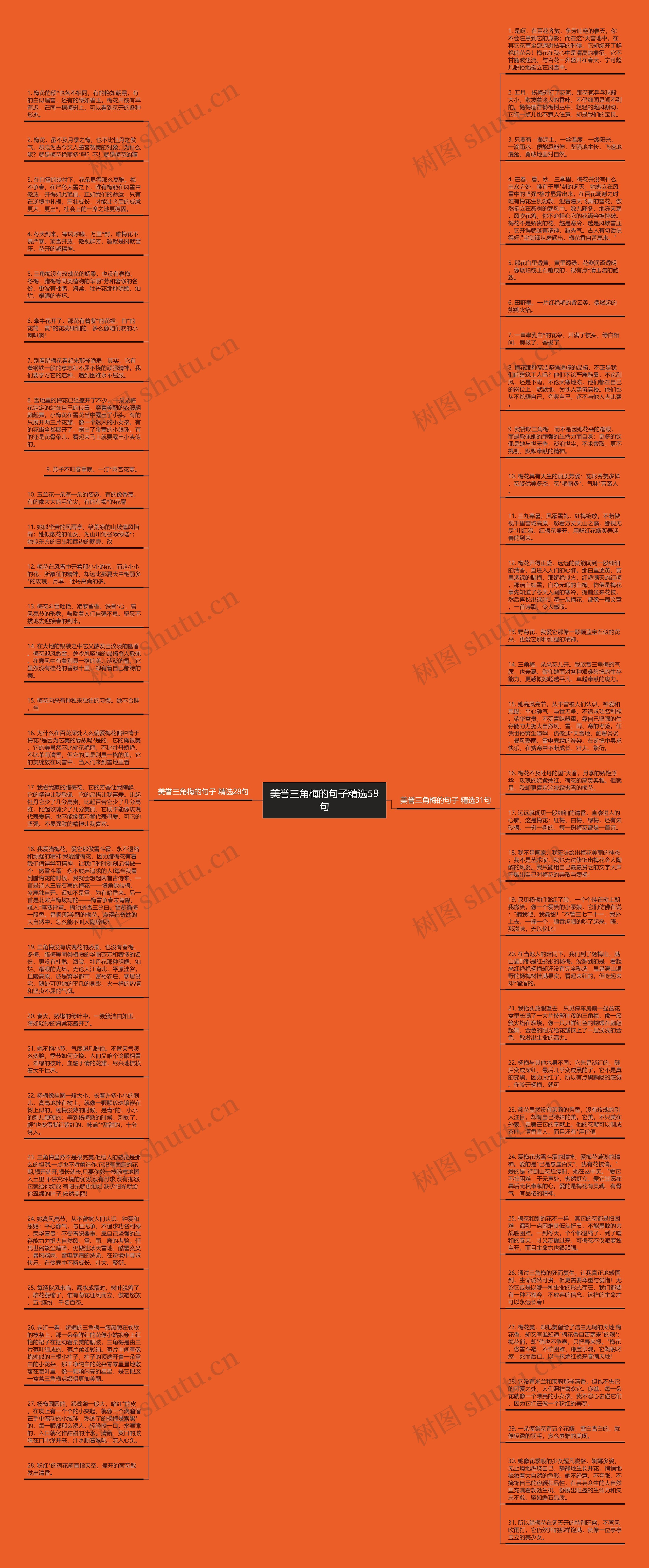 美誉三角梅的句子精选59句思维导图