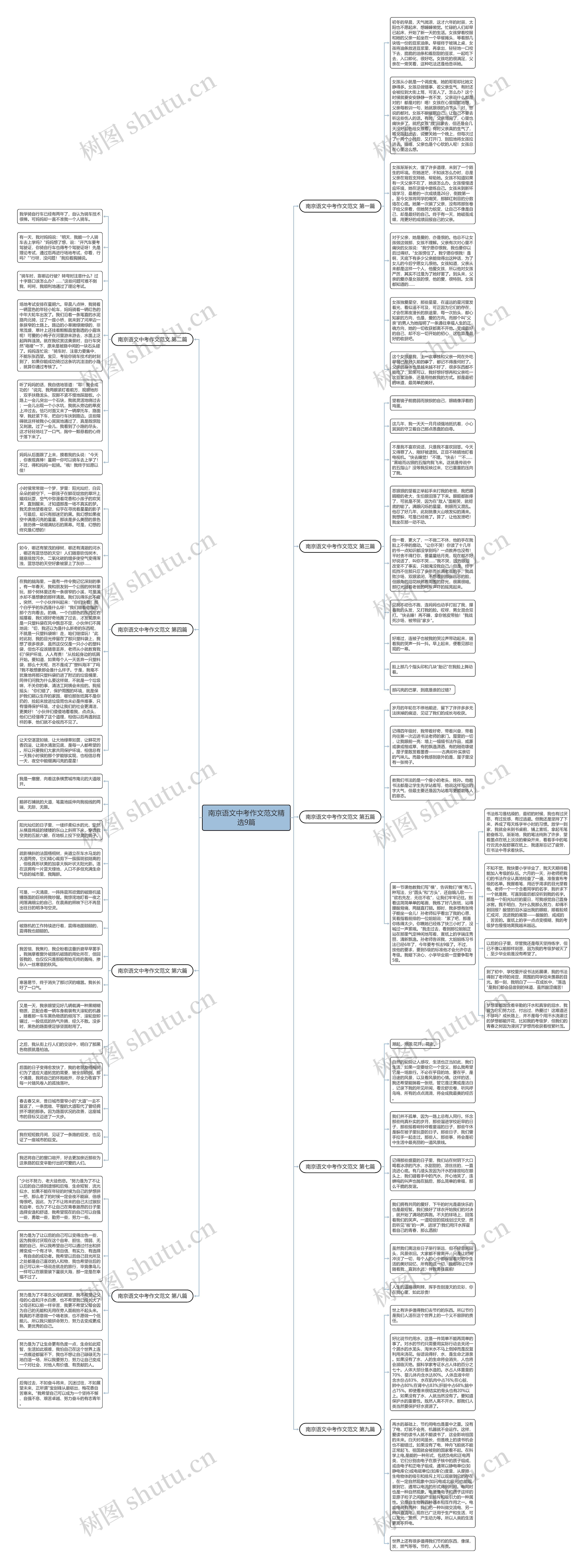 南京语文中考作文范文精选9篇思维导图