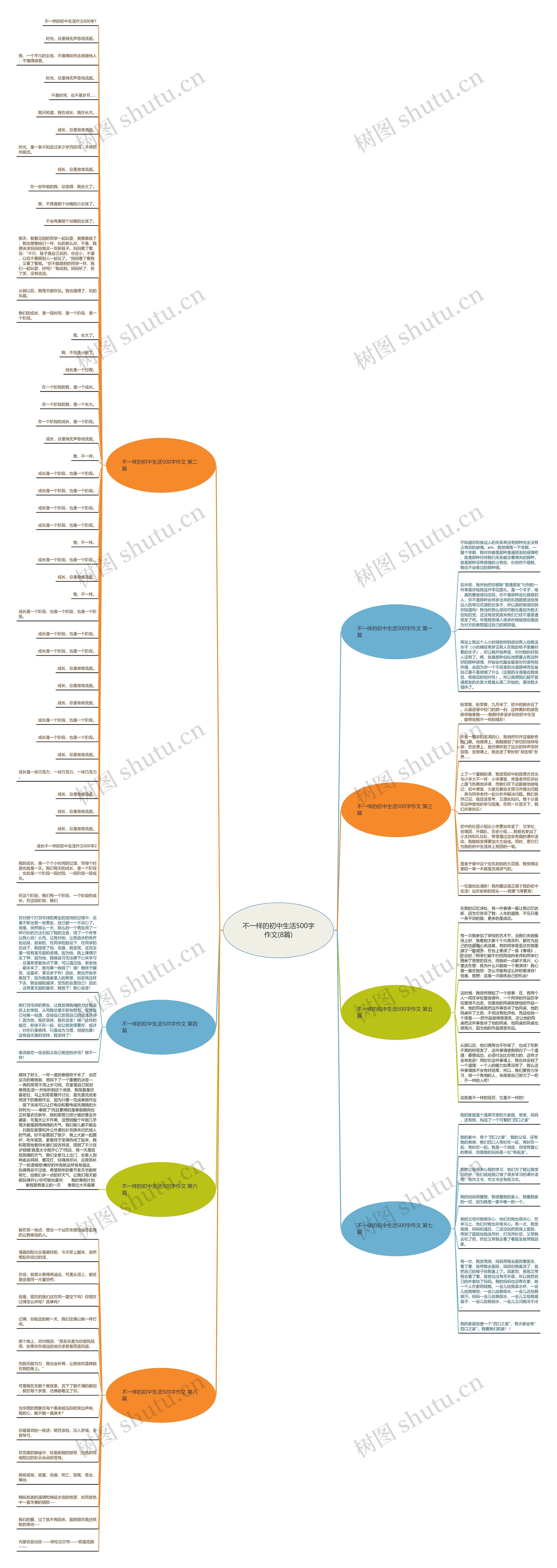 不一样的初中生活500字作文(8篇)思维导图