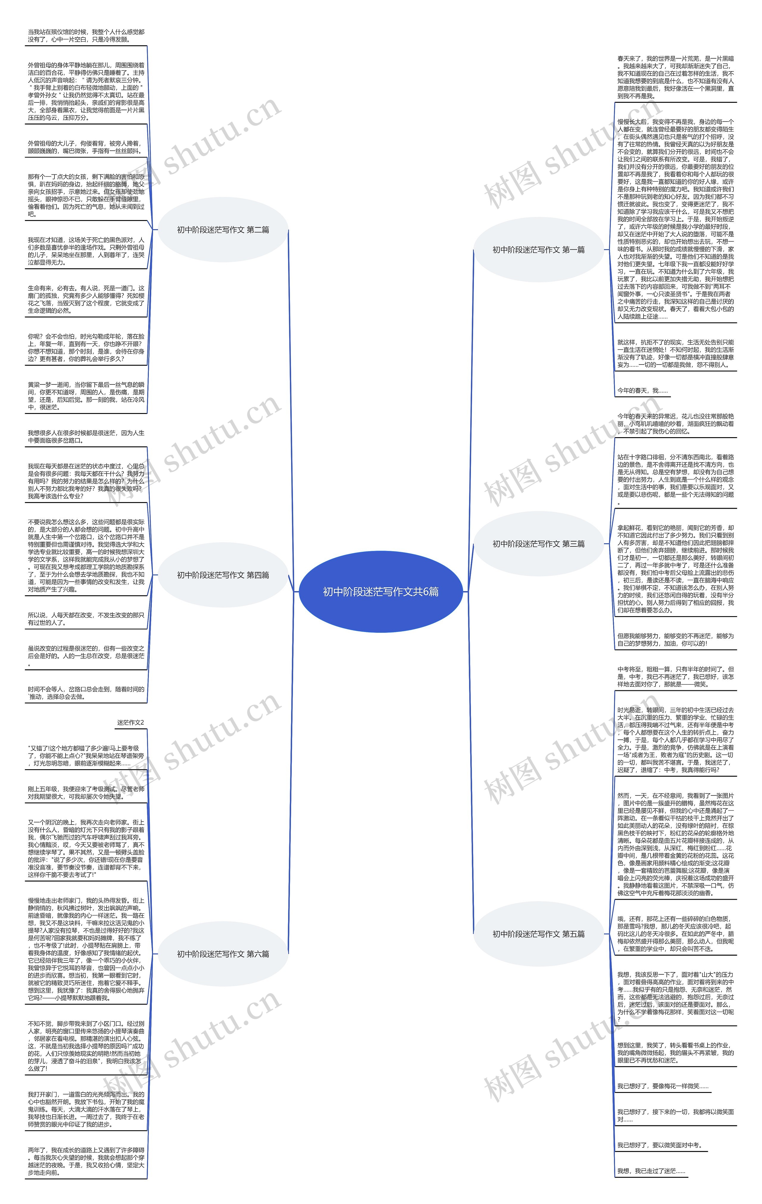 初中阶段迷茫写作文共6篇思维导图