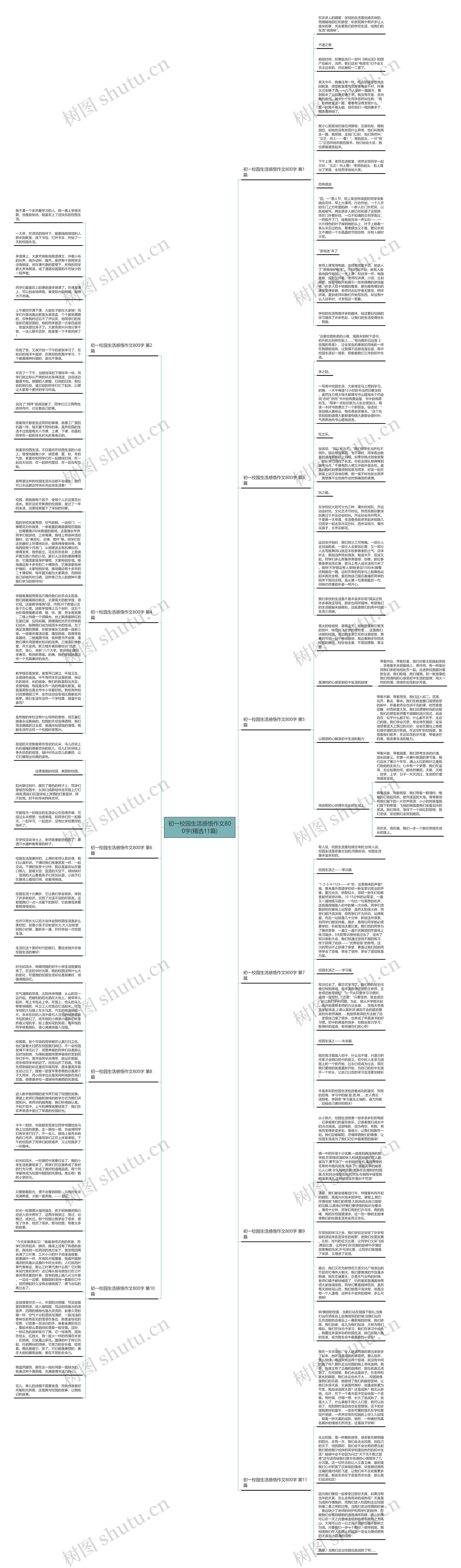 初一校园生活感悟作文800字(精选11篇)思维导图