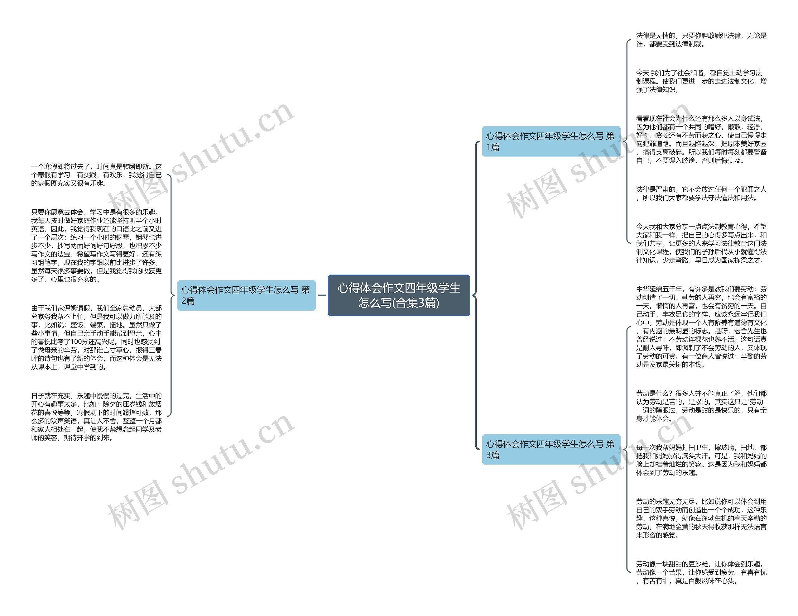 心得体会作文四年级学生怎么写(合集3篇)思维导图