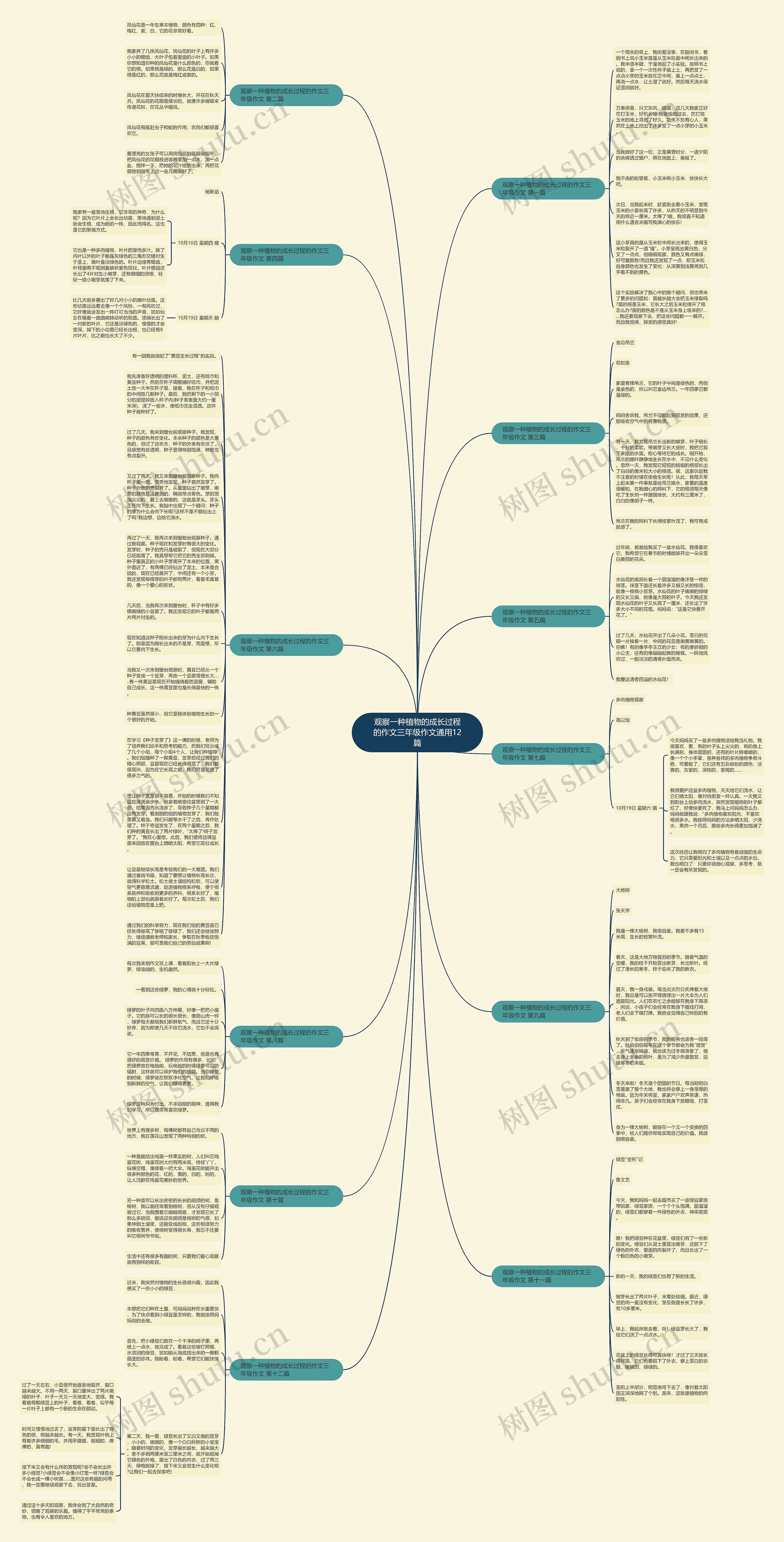 观察一种植物的成长过程的作文三年级作文通用12篇思维导图