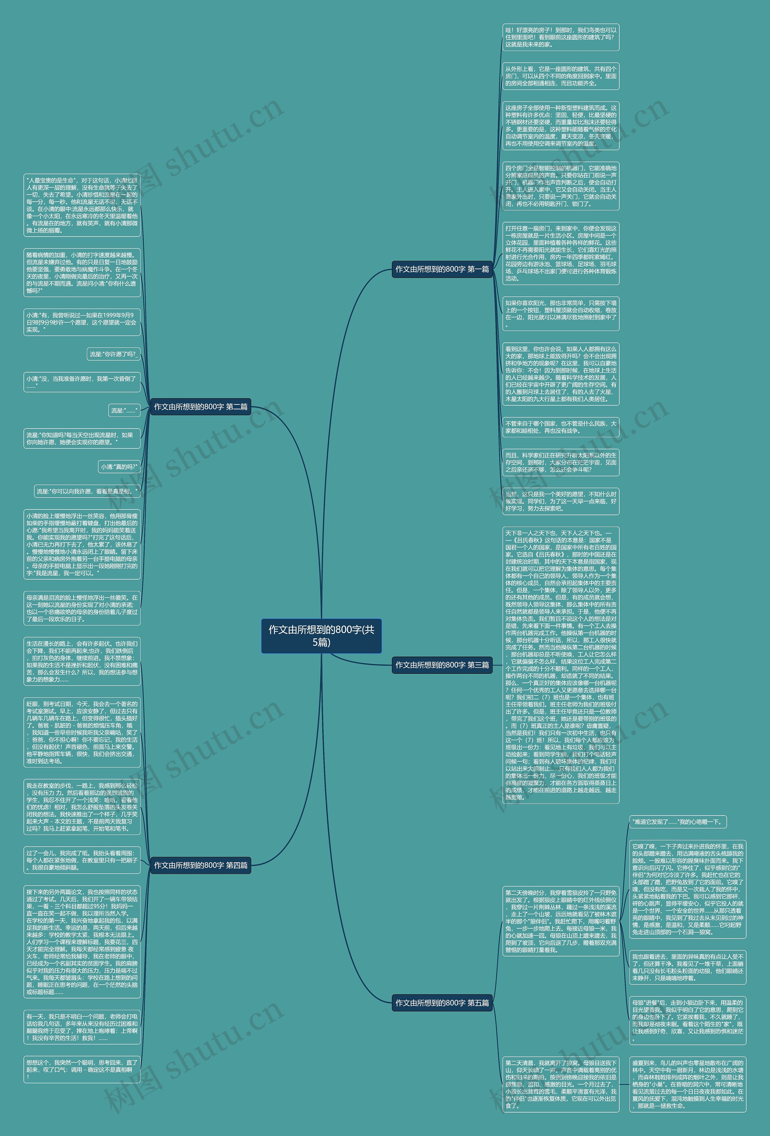 作文由所想到的800字(共5篇)思维导图