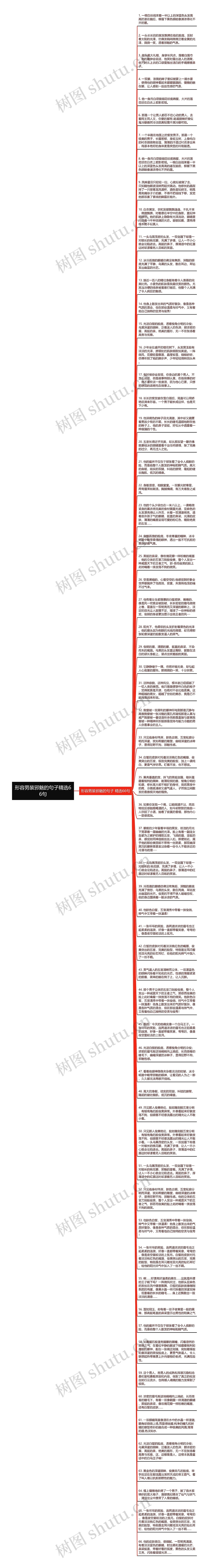 形容男装邪魅的句子精选66句思维导图