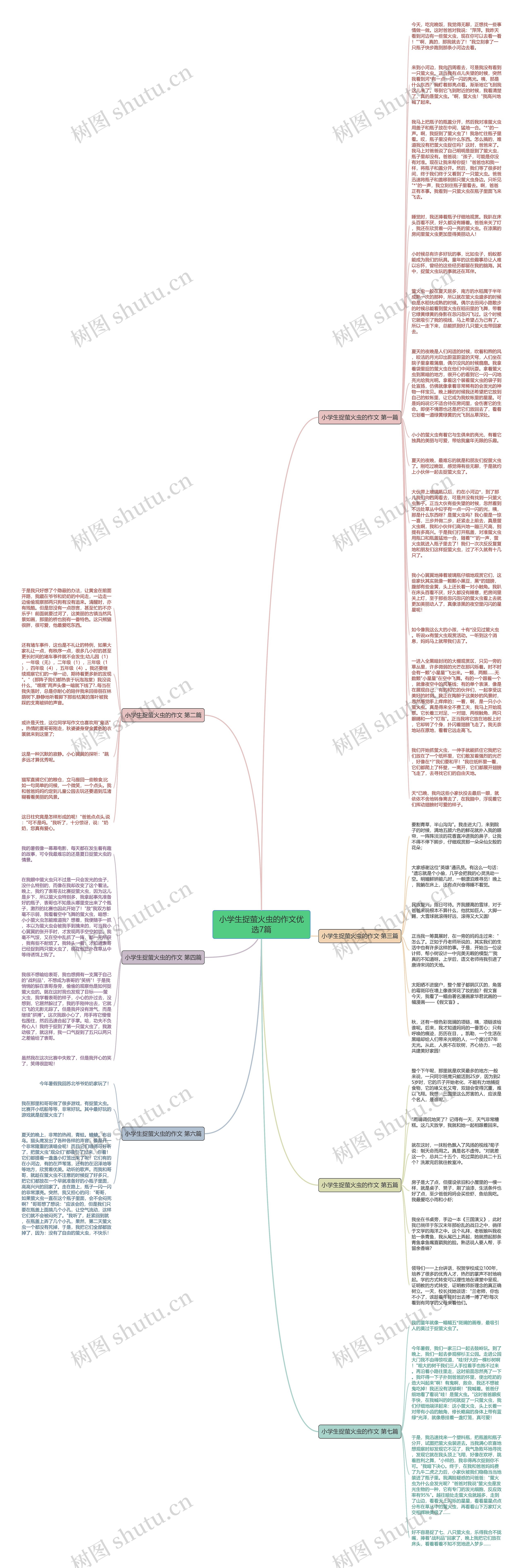 小学生捉萤火虫的作文优选7篇思维导图