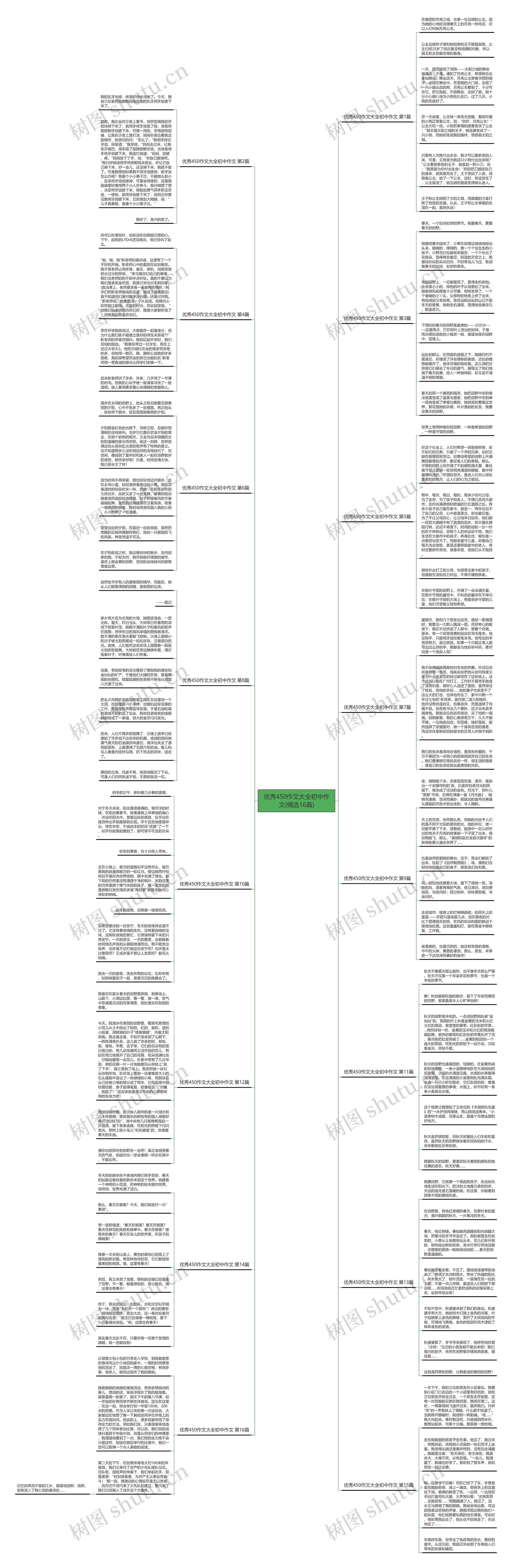 优秀450作文大全初中作文(精选16篇)