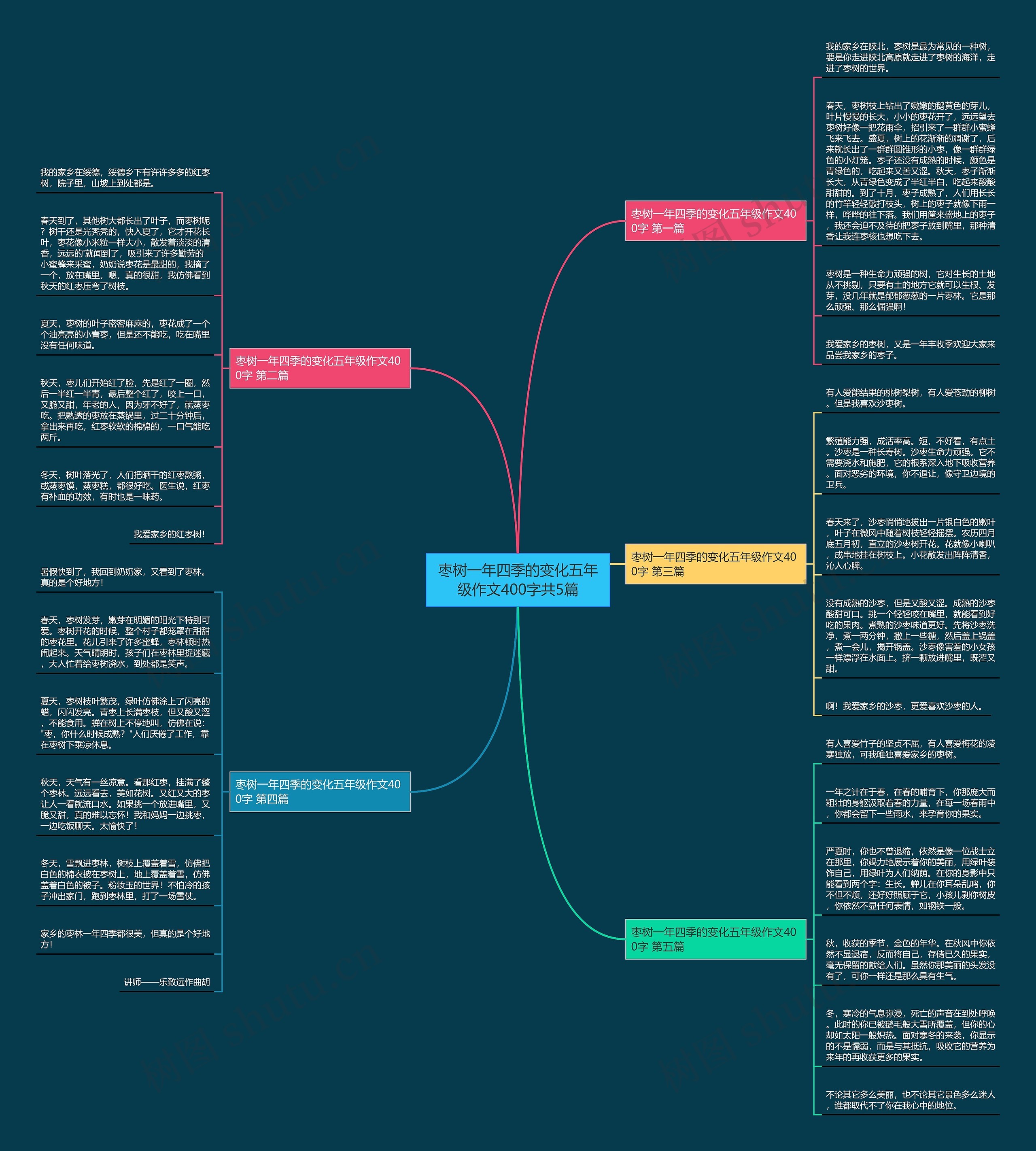 枣树一年四季的变化五年级作文400字共5篇思维导图
