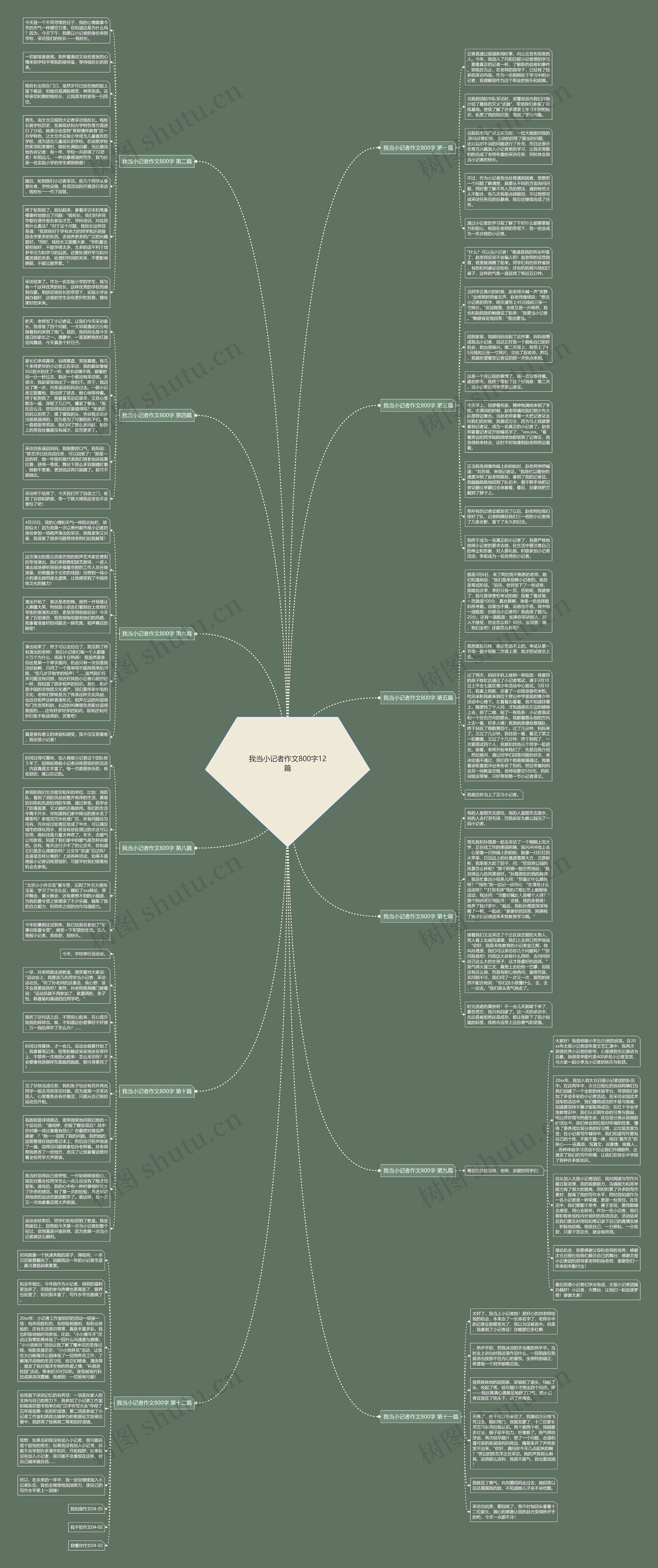 我当小记者作文800字12篇思维导图