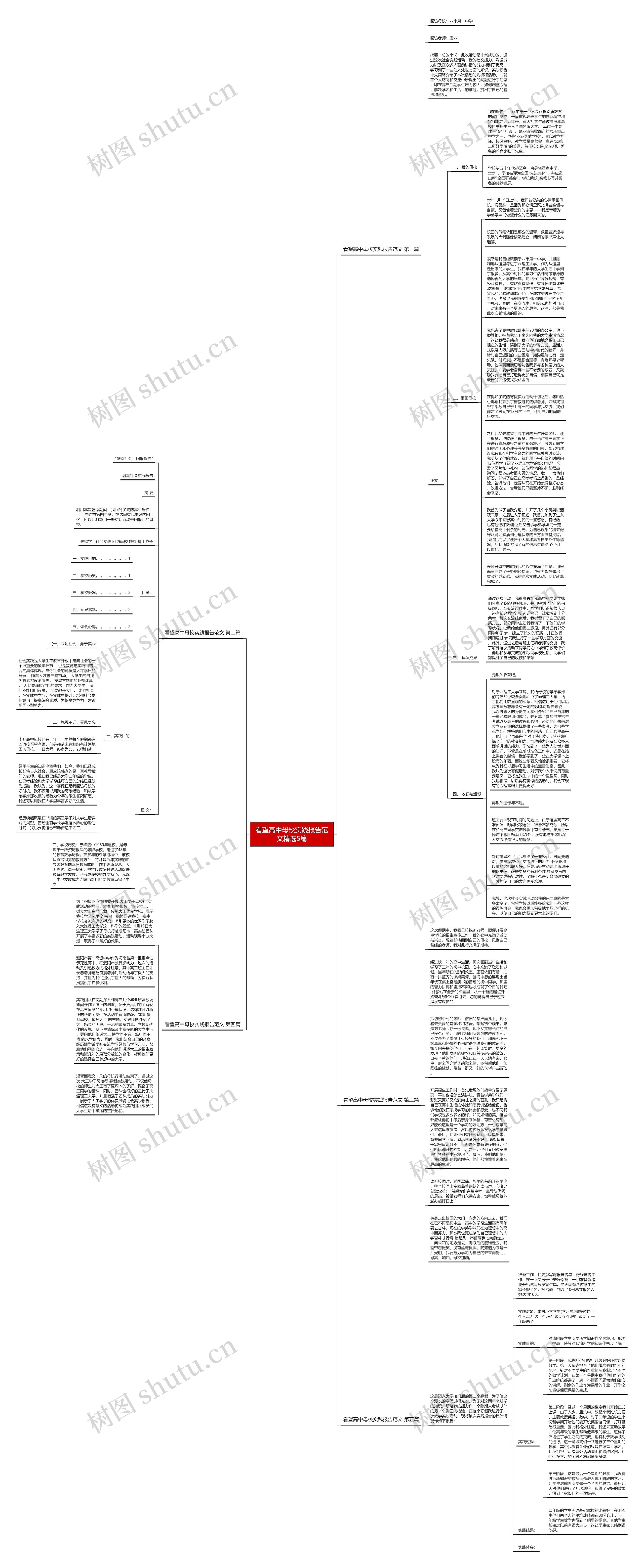 看望高中母校实践报告范文精选5篇思维导图