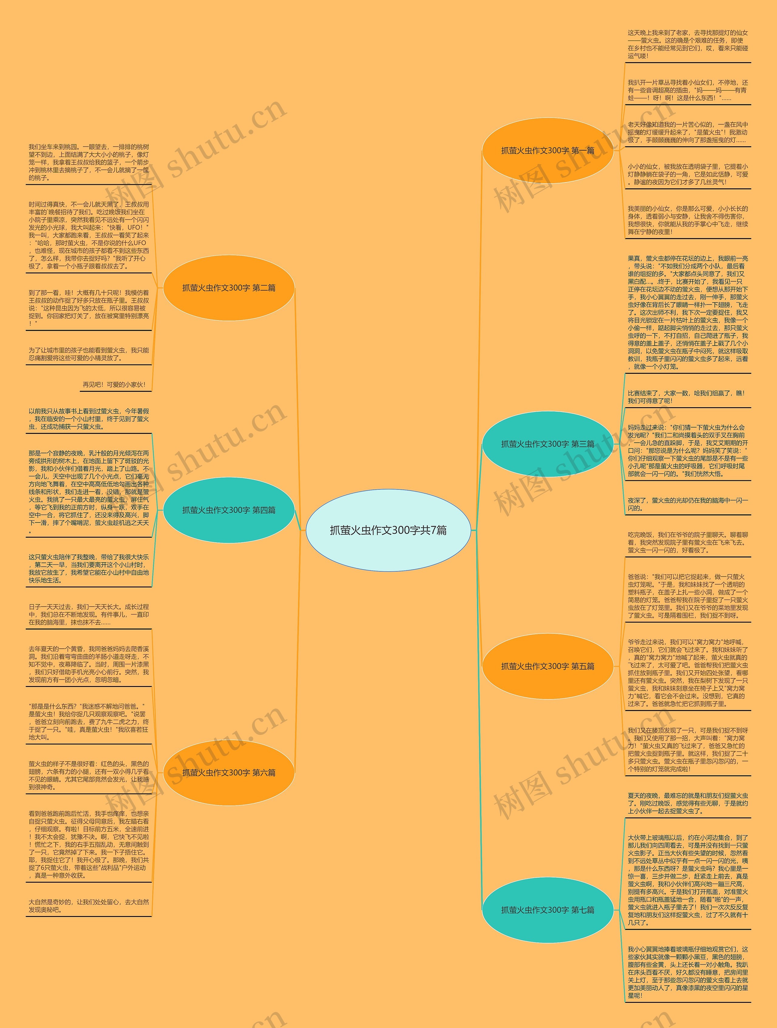 抓萤火虫作文300字共7篇思维导图