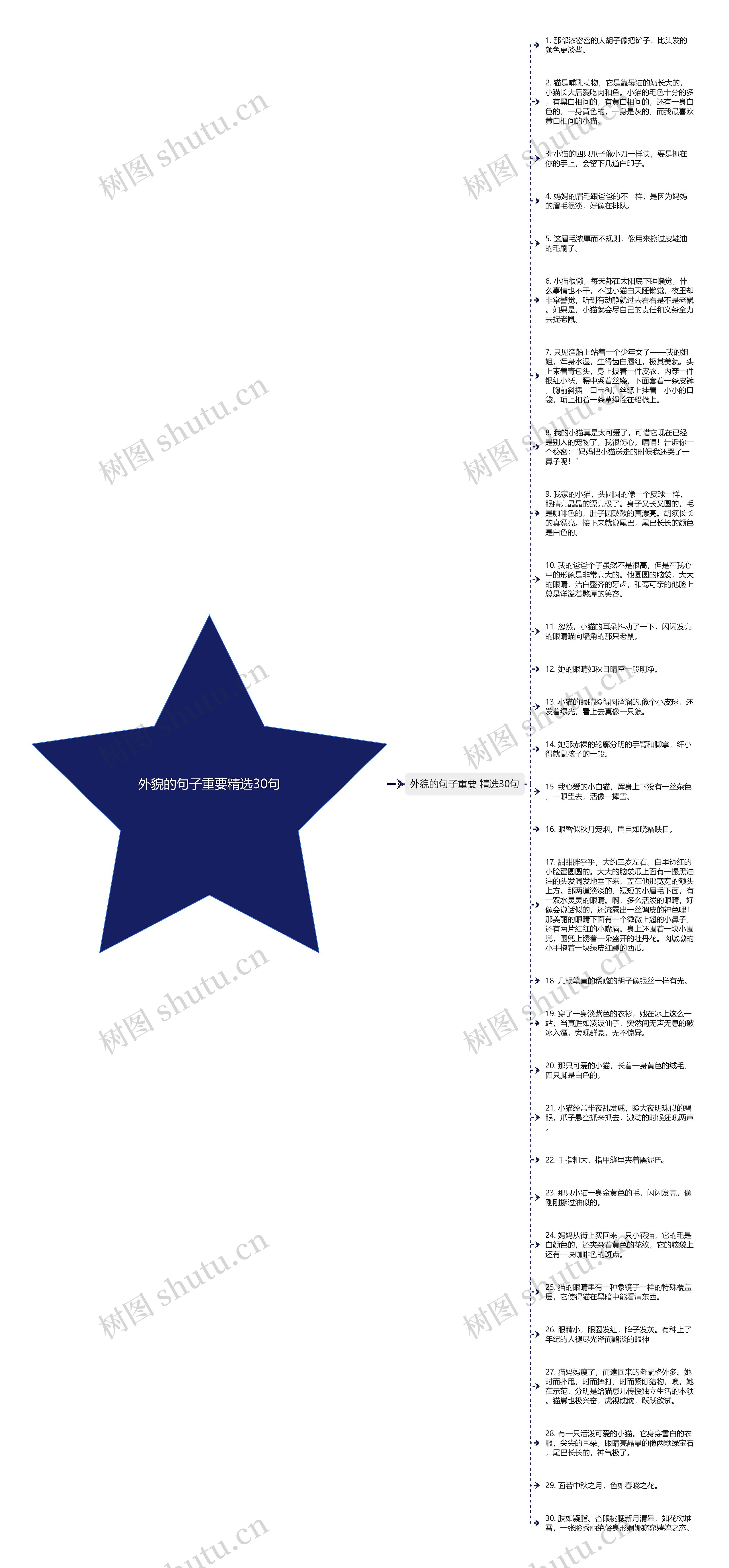 外貌的句子重要精选30句思维导图