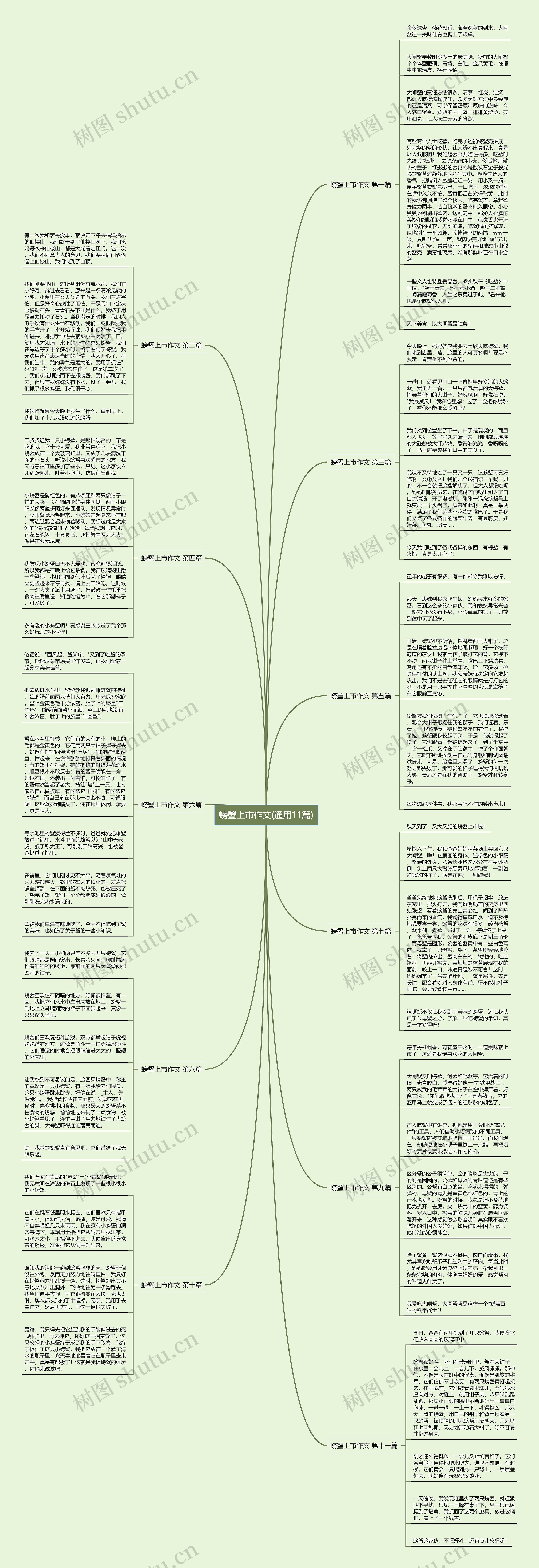 螃蟹上市作文(通用11篇)思维导图