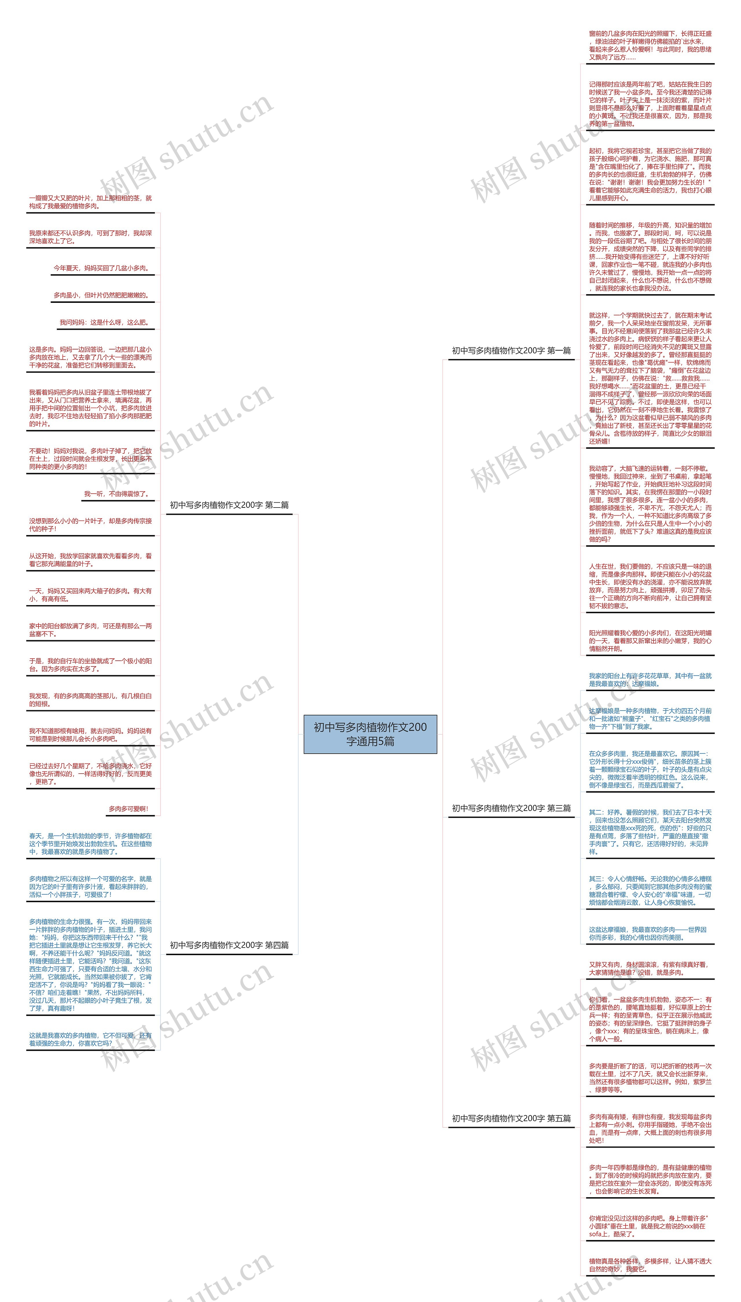 初中写多肉植物作文200字通用5篇思维导图