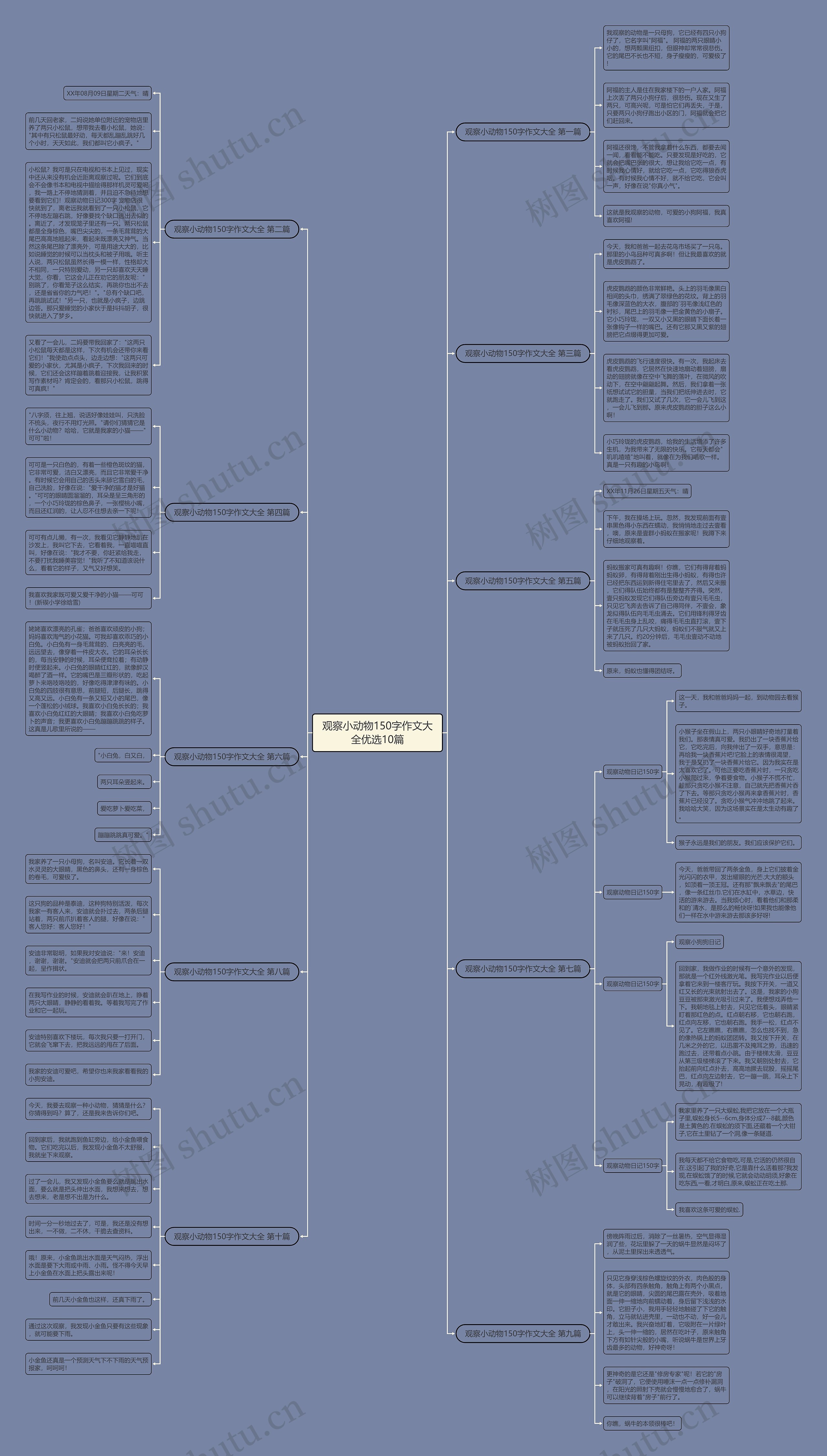 观察小动物150字作文大全优选10篇 观察小动物150字作文大全优选10篇