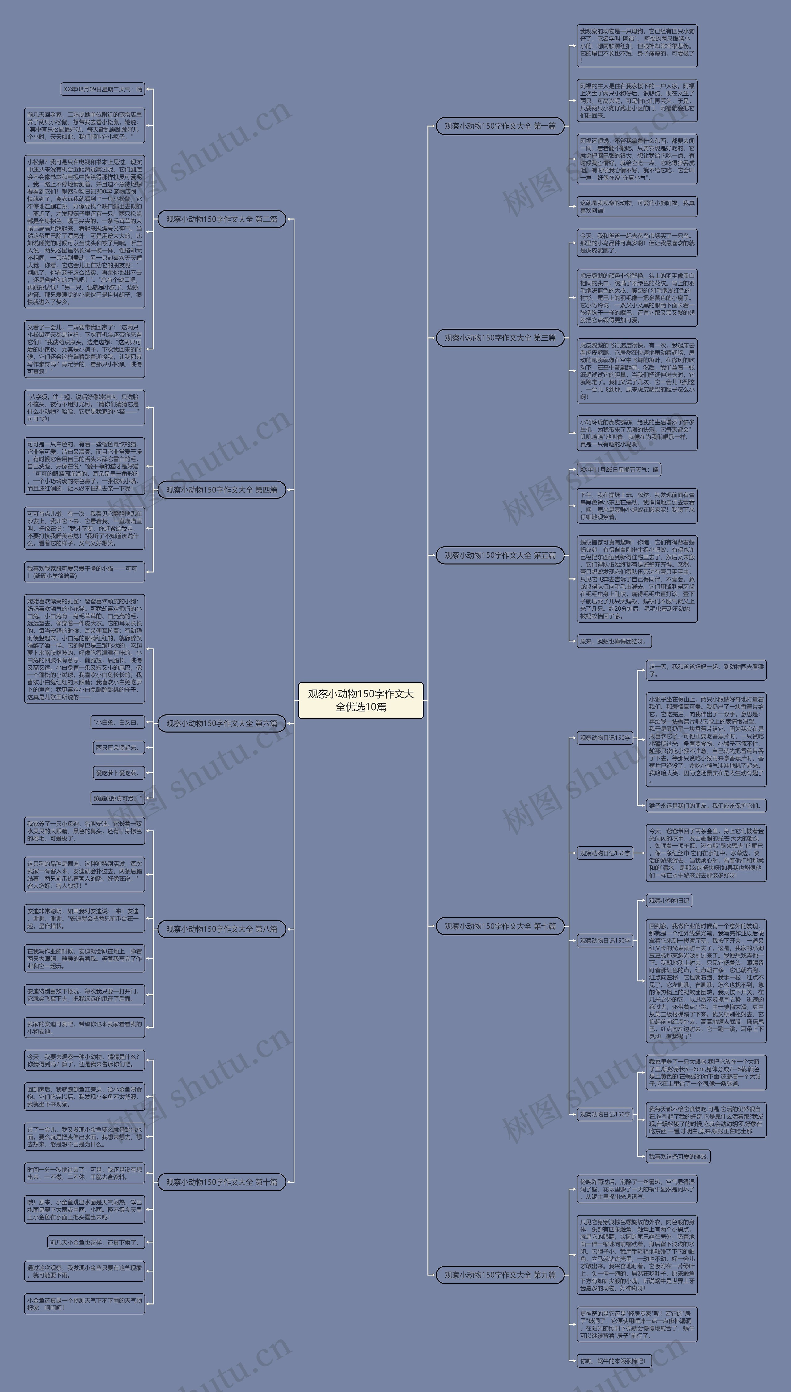 观察小动物150字作文大全优选10篇思维导图