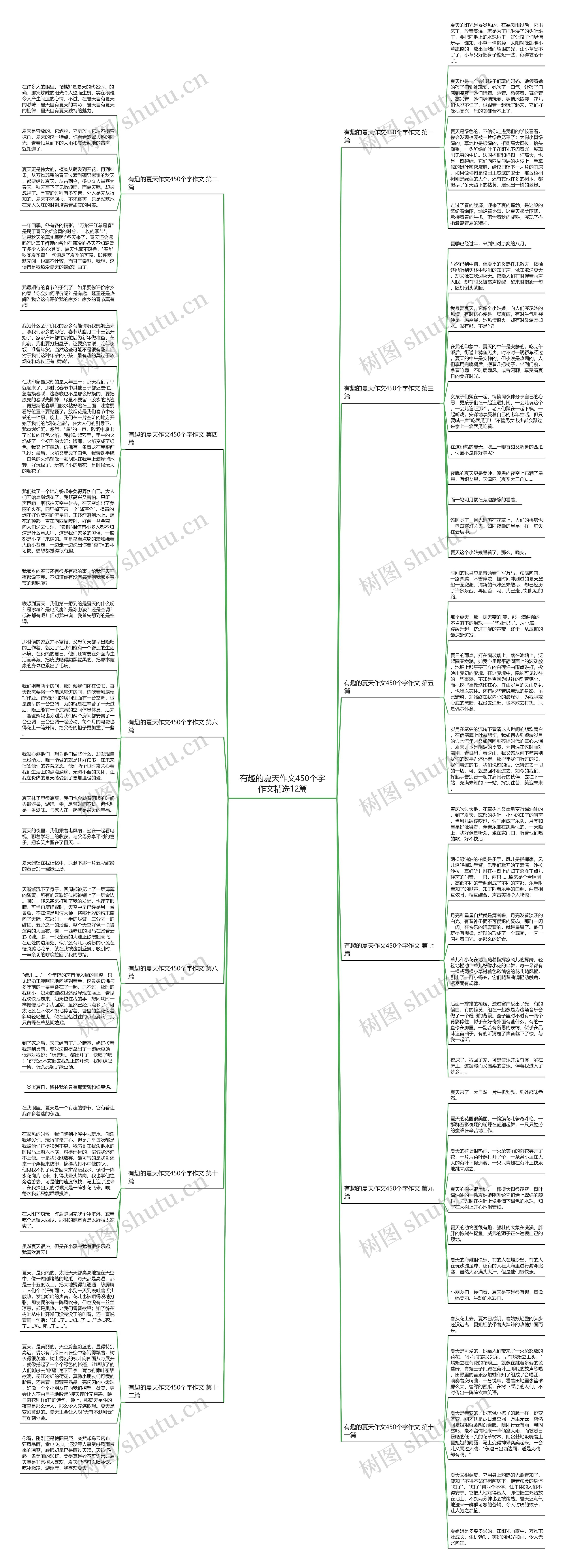 有趣的夏天作文450个字作文精选12篇