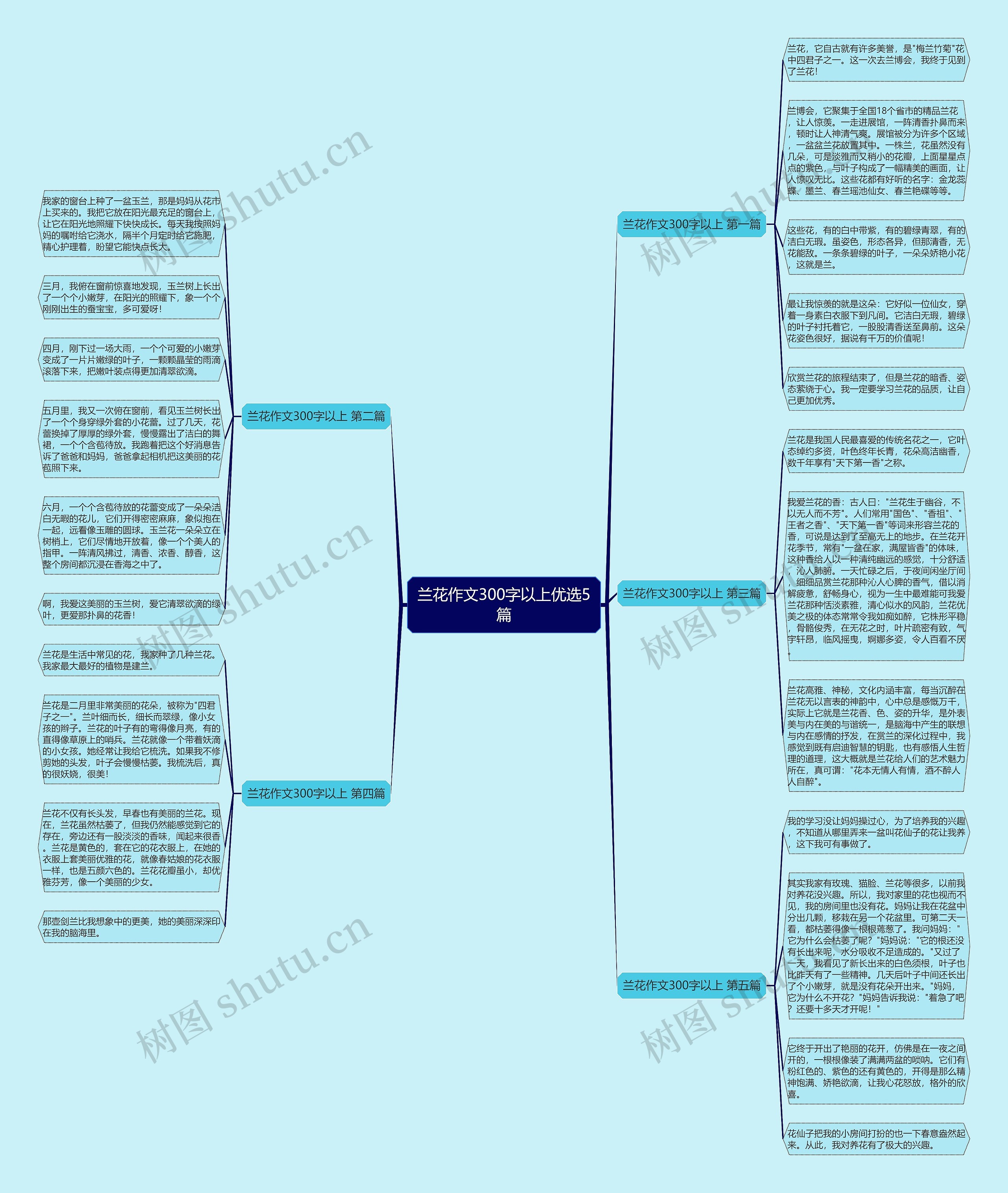 兰花作文300字以上优选5篇思维导图