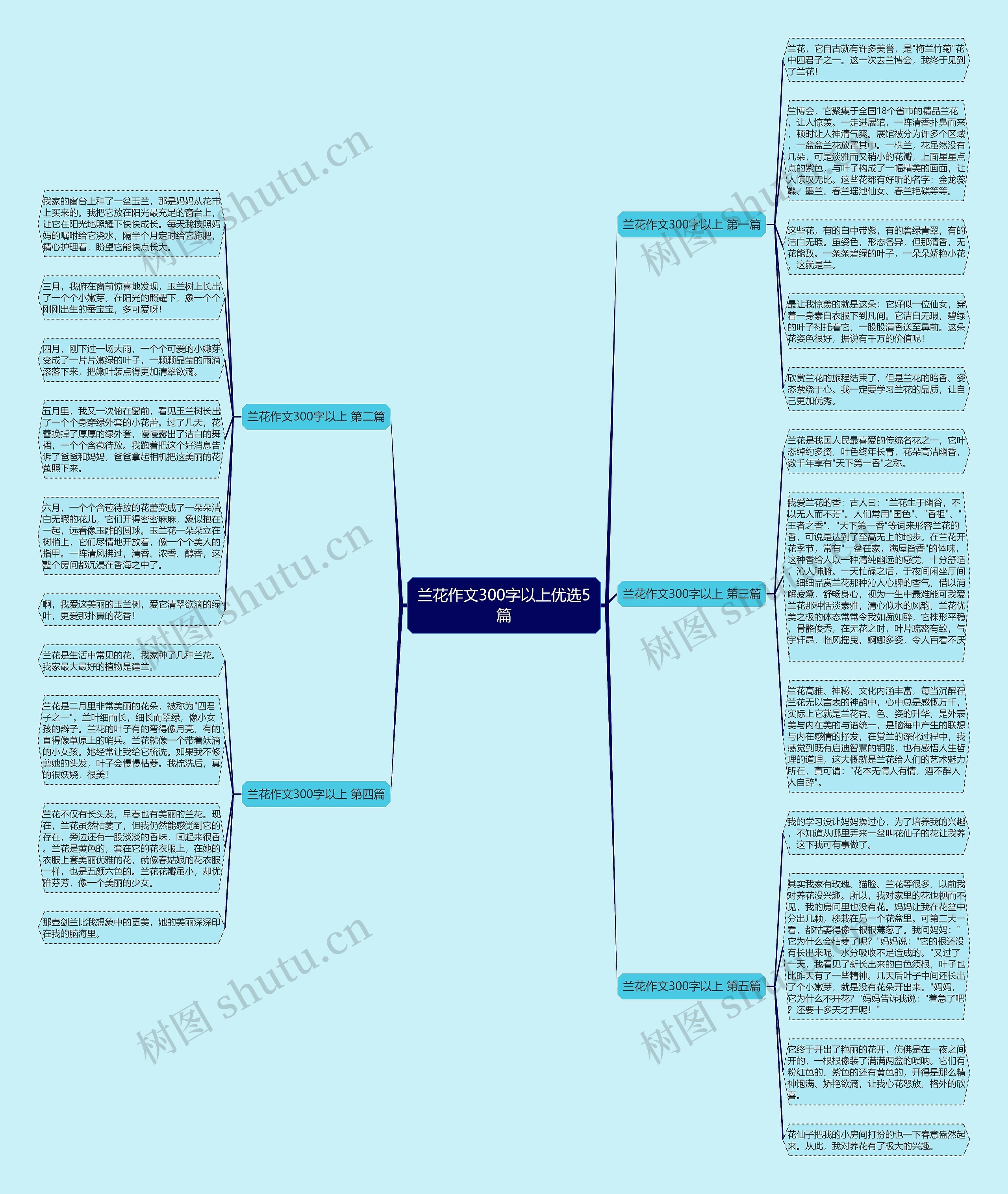 兰花作文300字以上优选5篇 兰花作文300字以上优选5篇