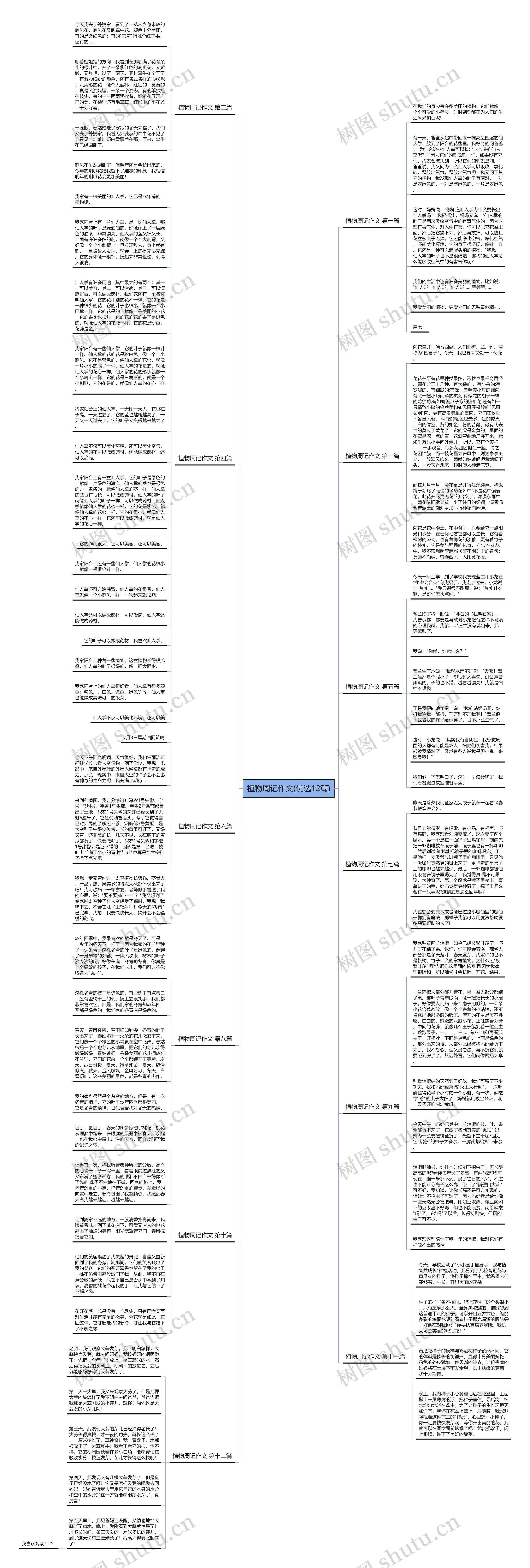 植物周记作文(优选12篇)思维导图
