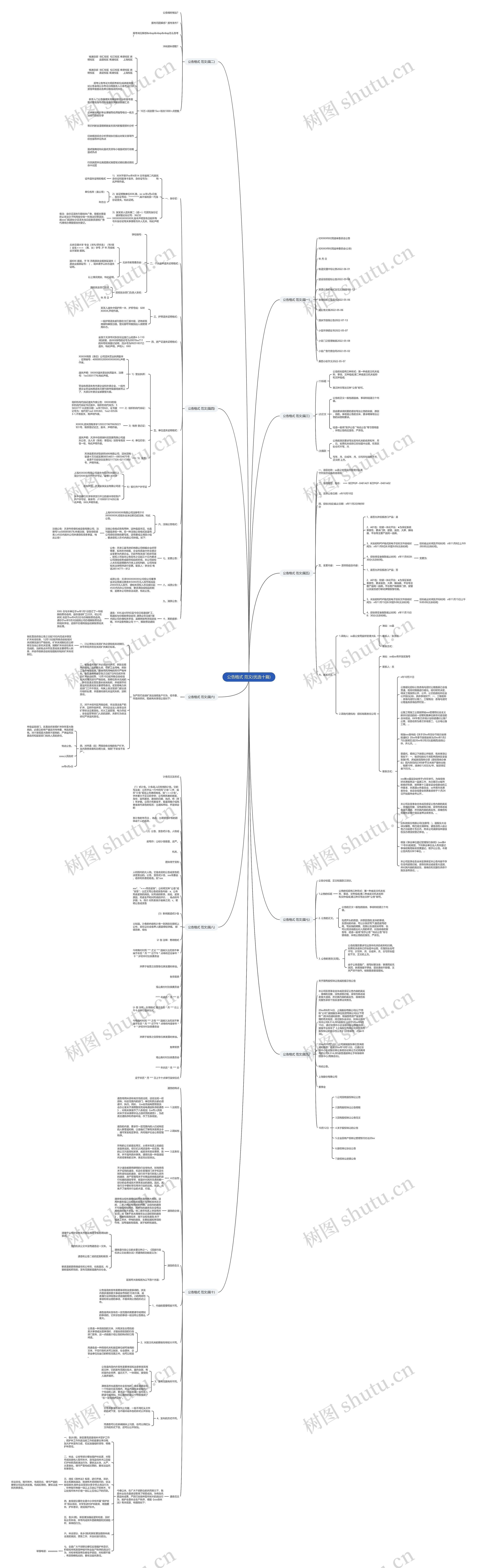 公告格式 范文(优选十篇)思维导图