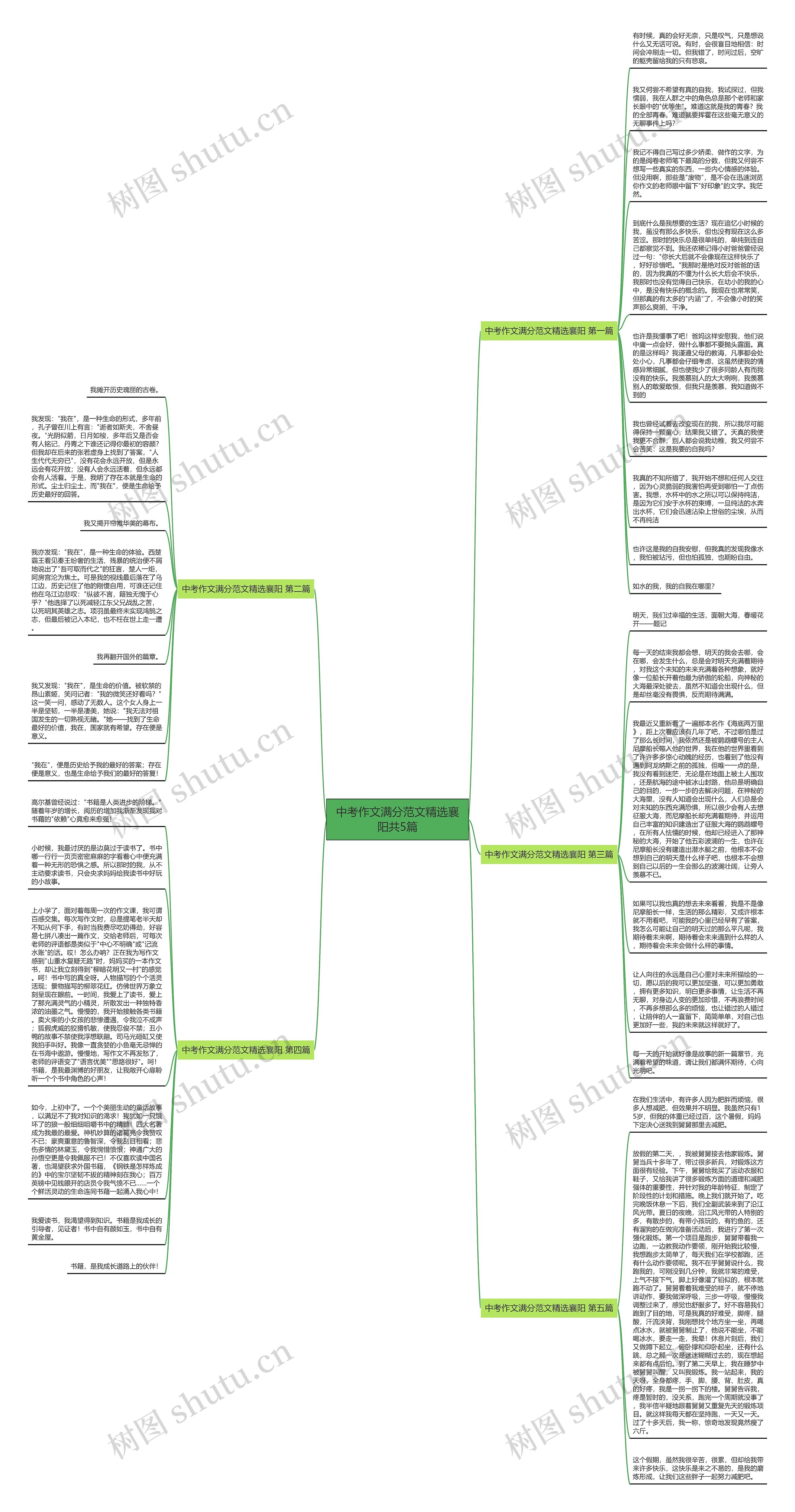 中考作文满分范文精选襄阳共5篇思维导图