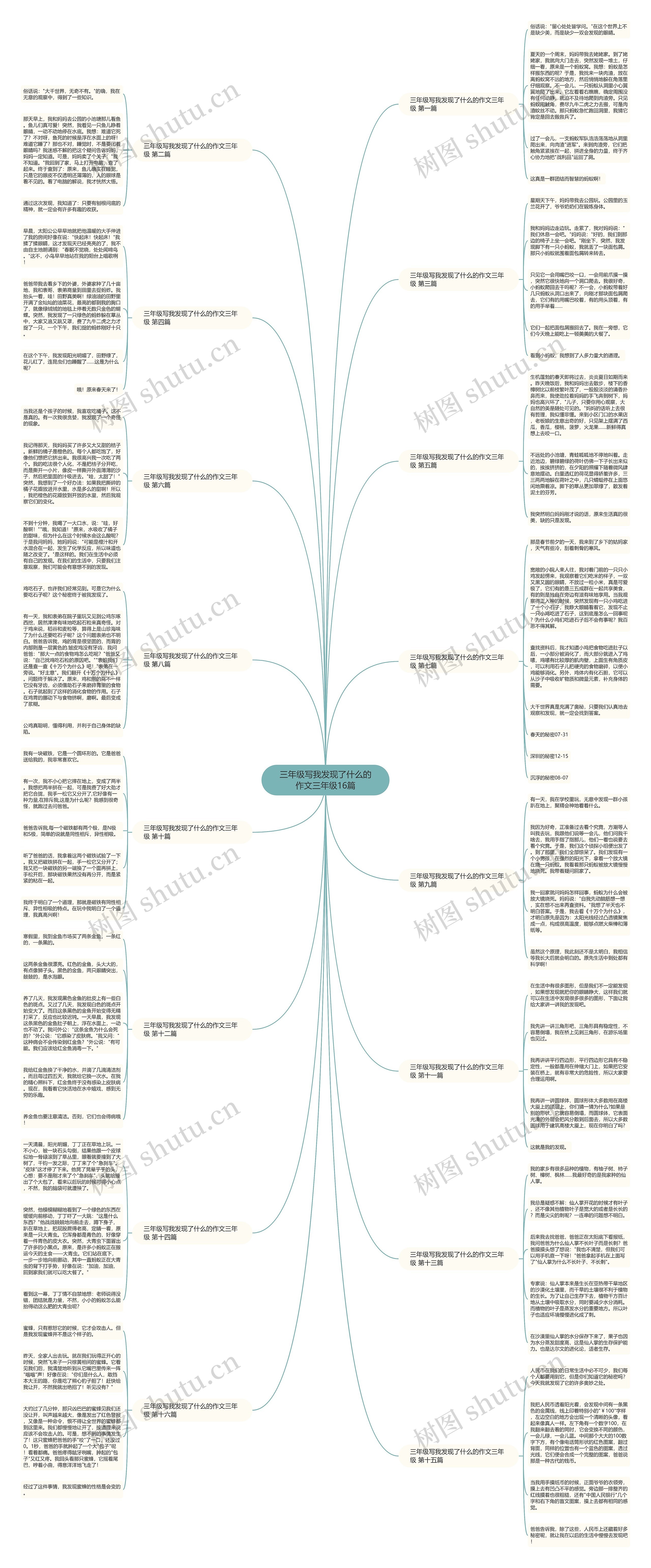 三年级写我发现了什么的作文三年级16篇思维导图