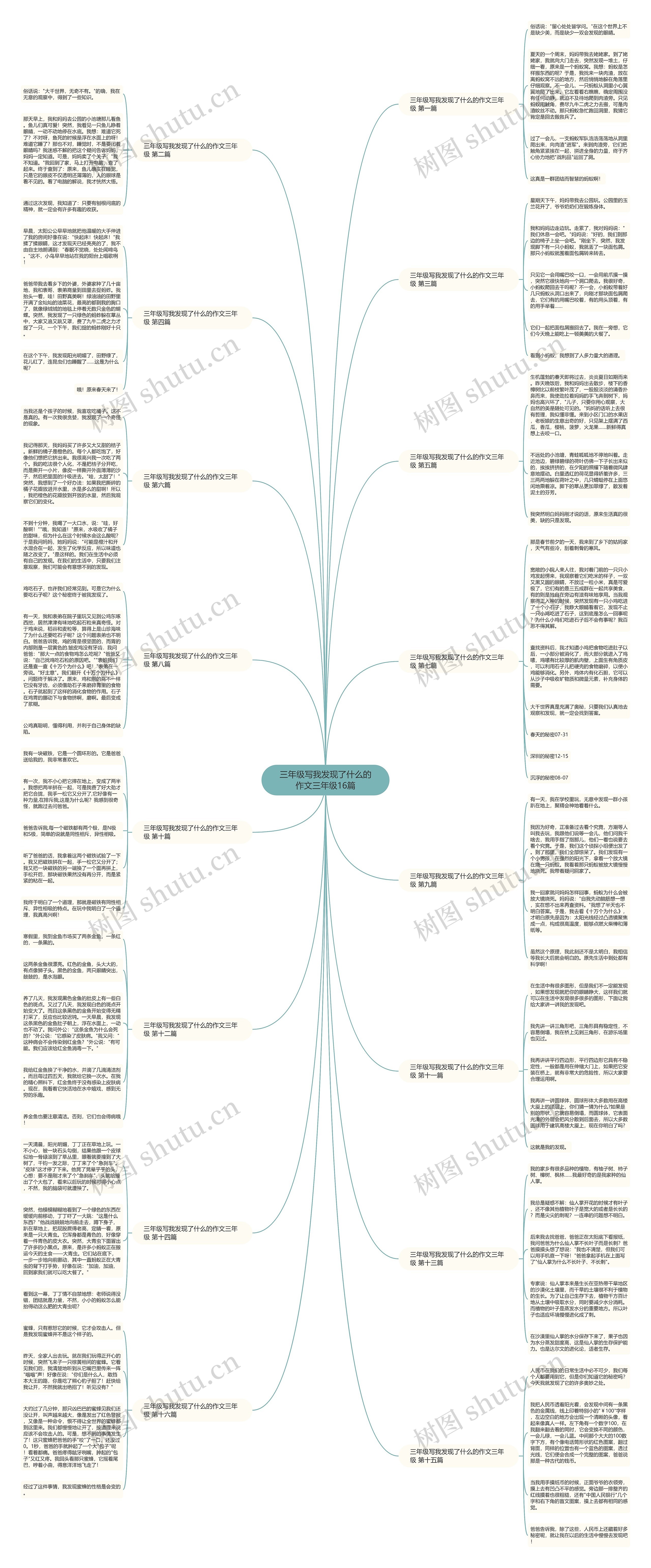 三年级写我发现了什么的作文三年级16篇 三年级写我发现了什么的作文三年级16篇