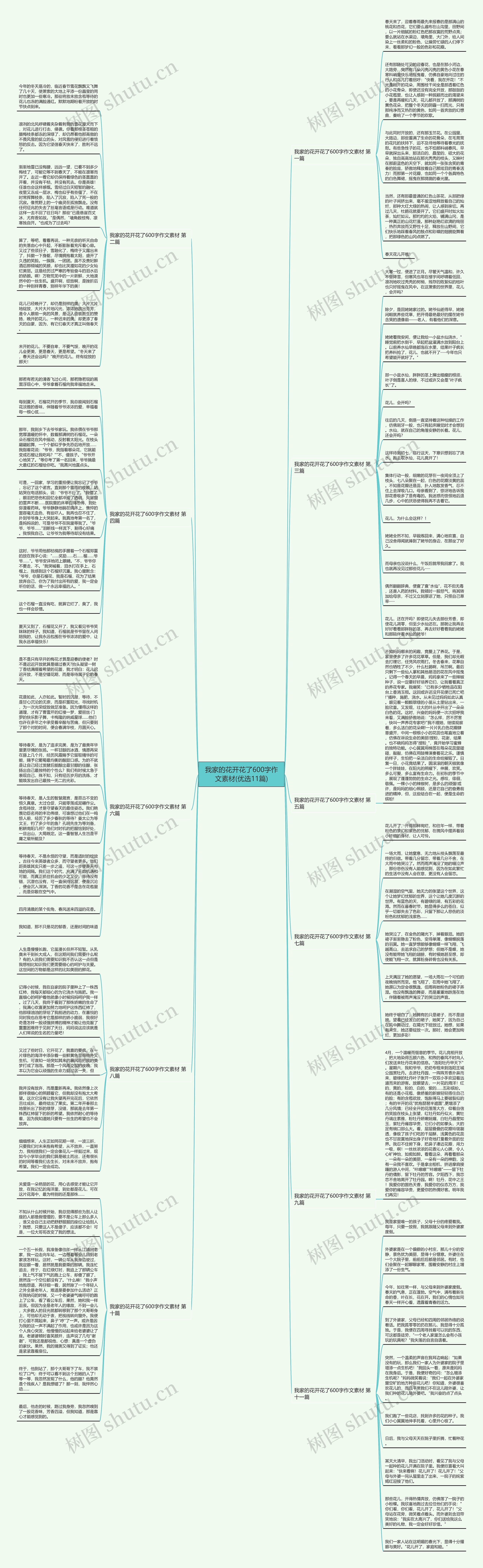 我家的花开花了600字作文素材(优选11篇)思维导图