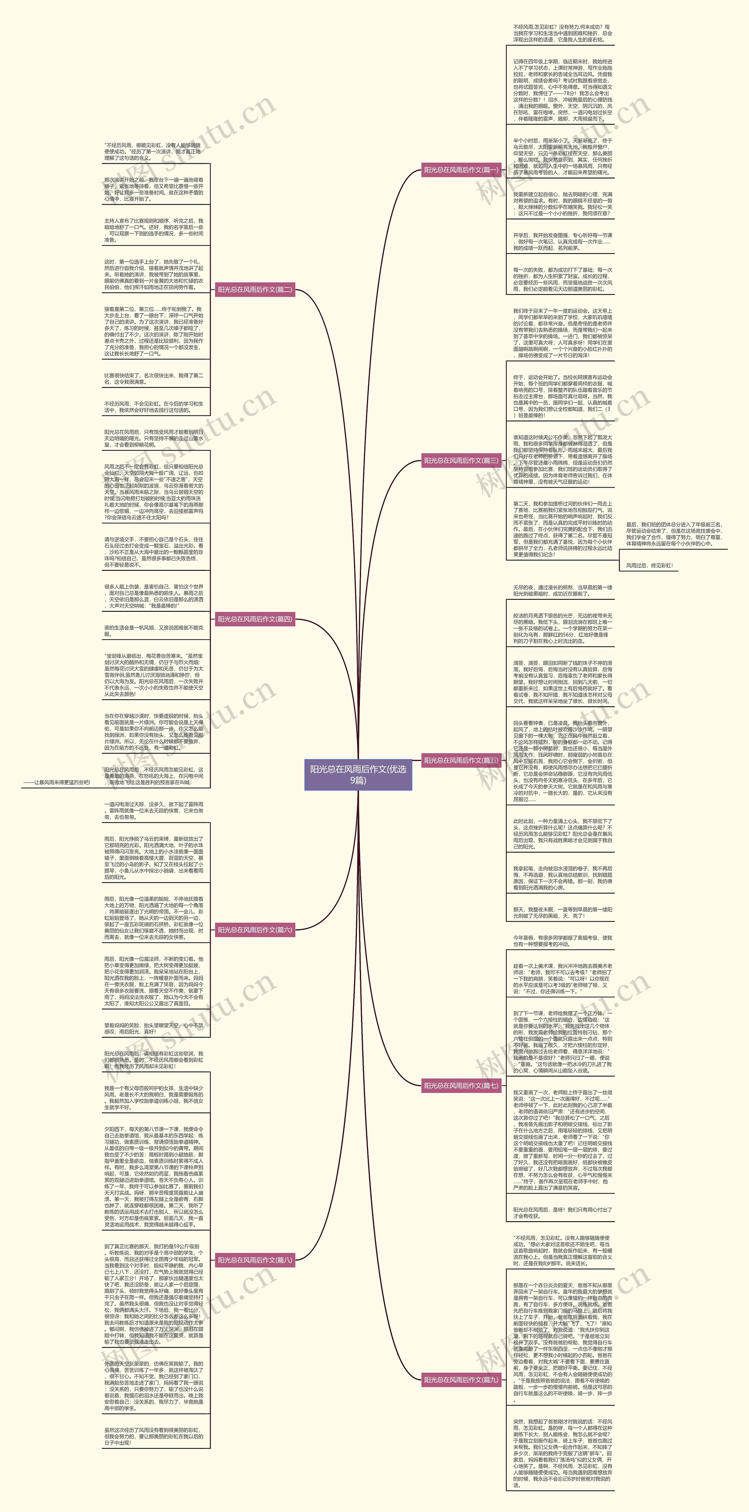 阳光总在风雨后作文(优选9篇)思维导图